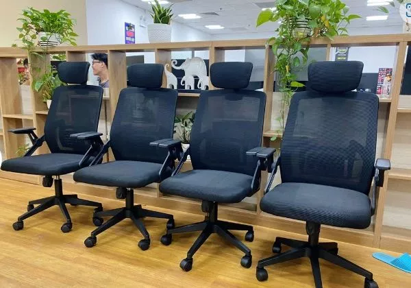 Tại sao nên sử dụng ghế công thái học? Giải pháp tối ưu cho sức khỏe & hiệu suất