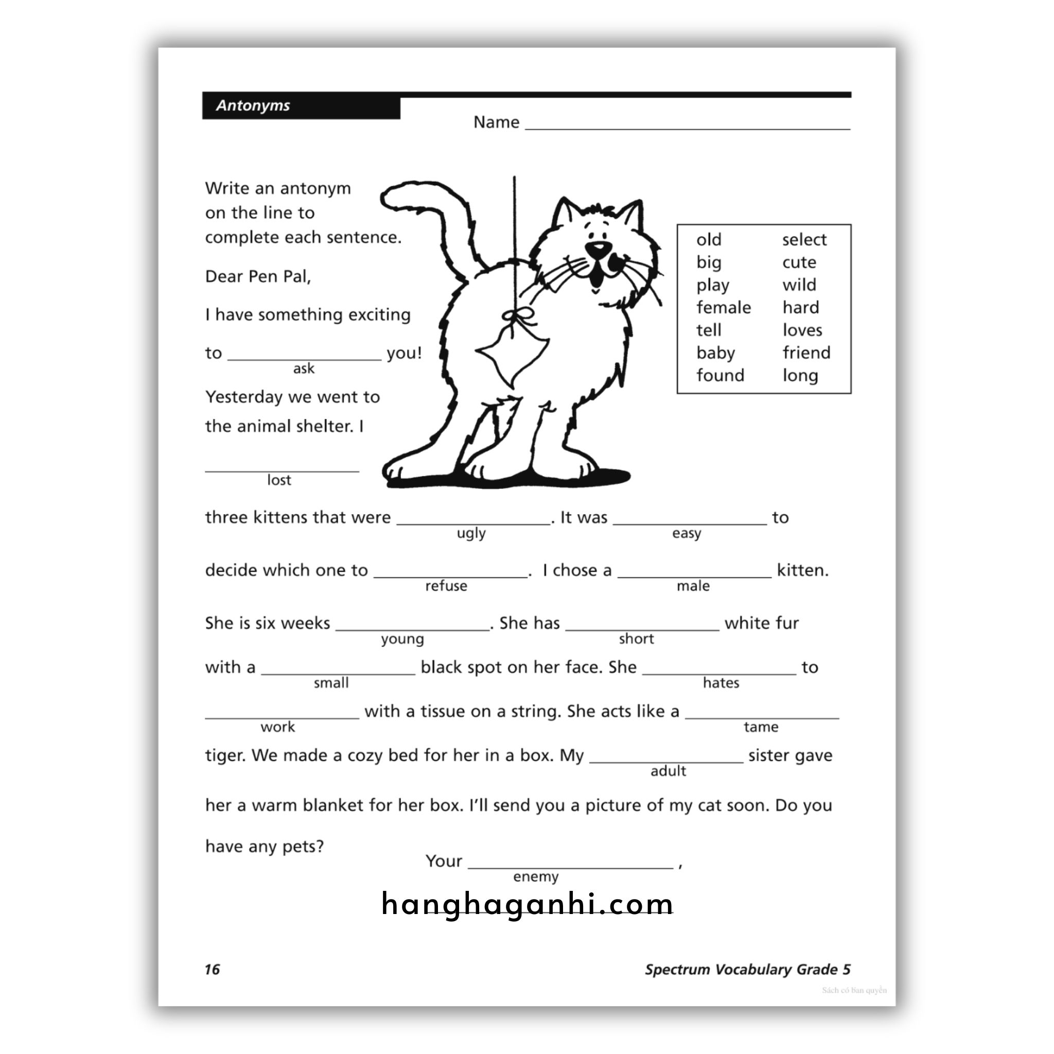 Sách Spectrum Vocabulary Workbook Grade 5_thumbnail_8