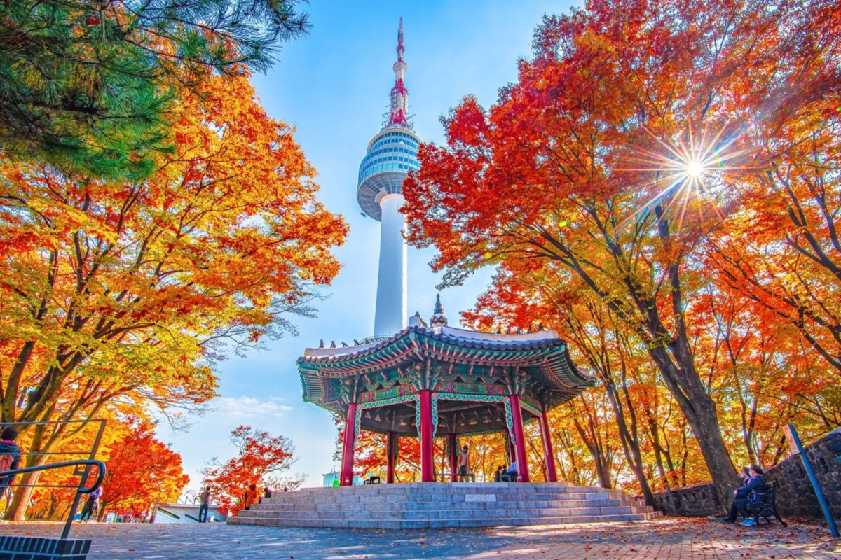 [Tour Tết 2025] Tour du lịch Hàn Quốc | TP. Hồ Chí Minh - Seoul - Nami - Everland 5 Ngày 4 Đêm_thumbnail_3