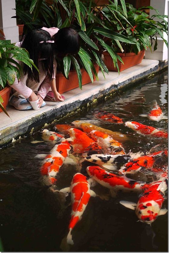 354879412_204883875844450_1330218067802757866_n