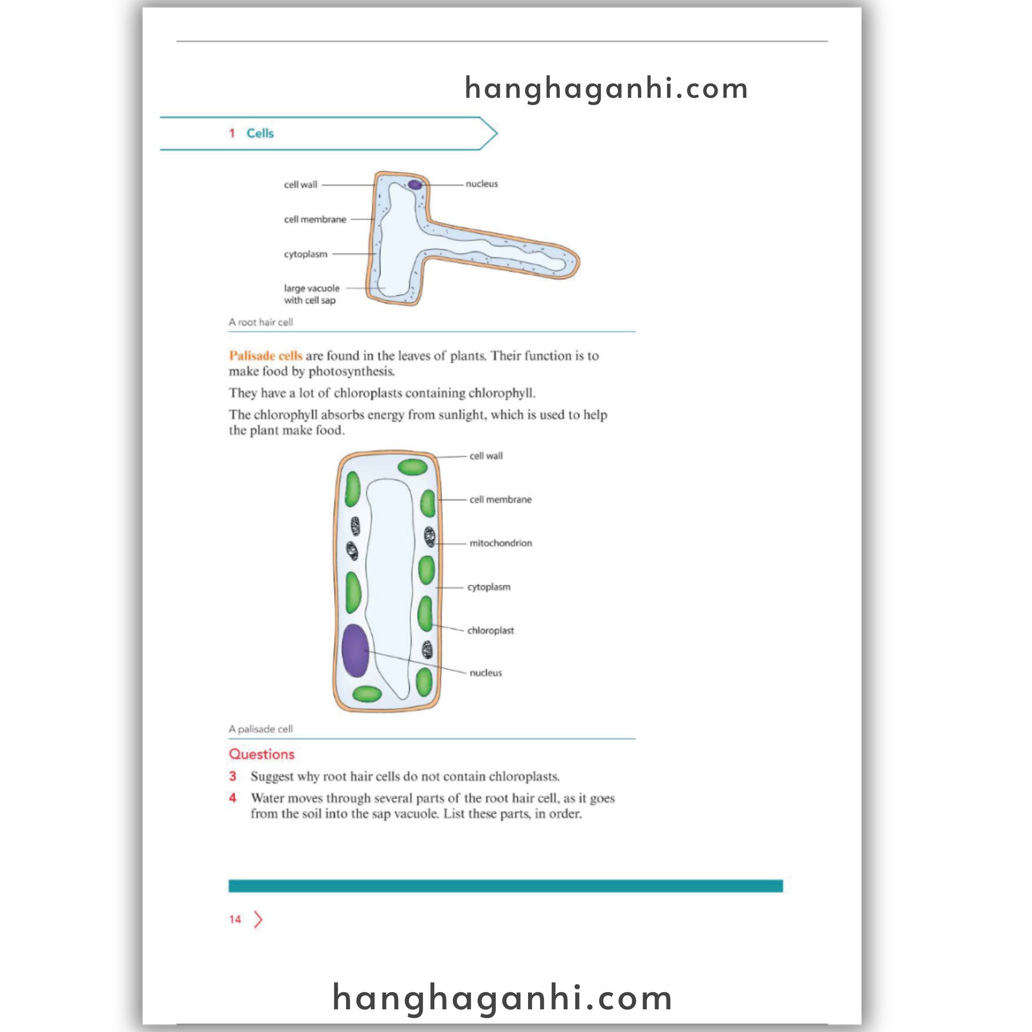 Cambridge Level 7 Lower Seconday Science Learner’s Book and Workbook 2nd Edition 2021_thumbnail_2