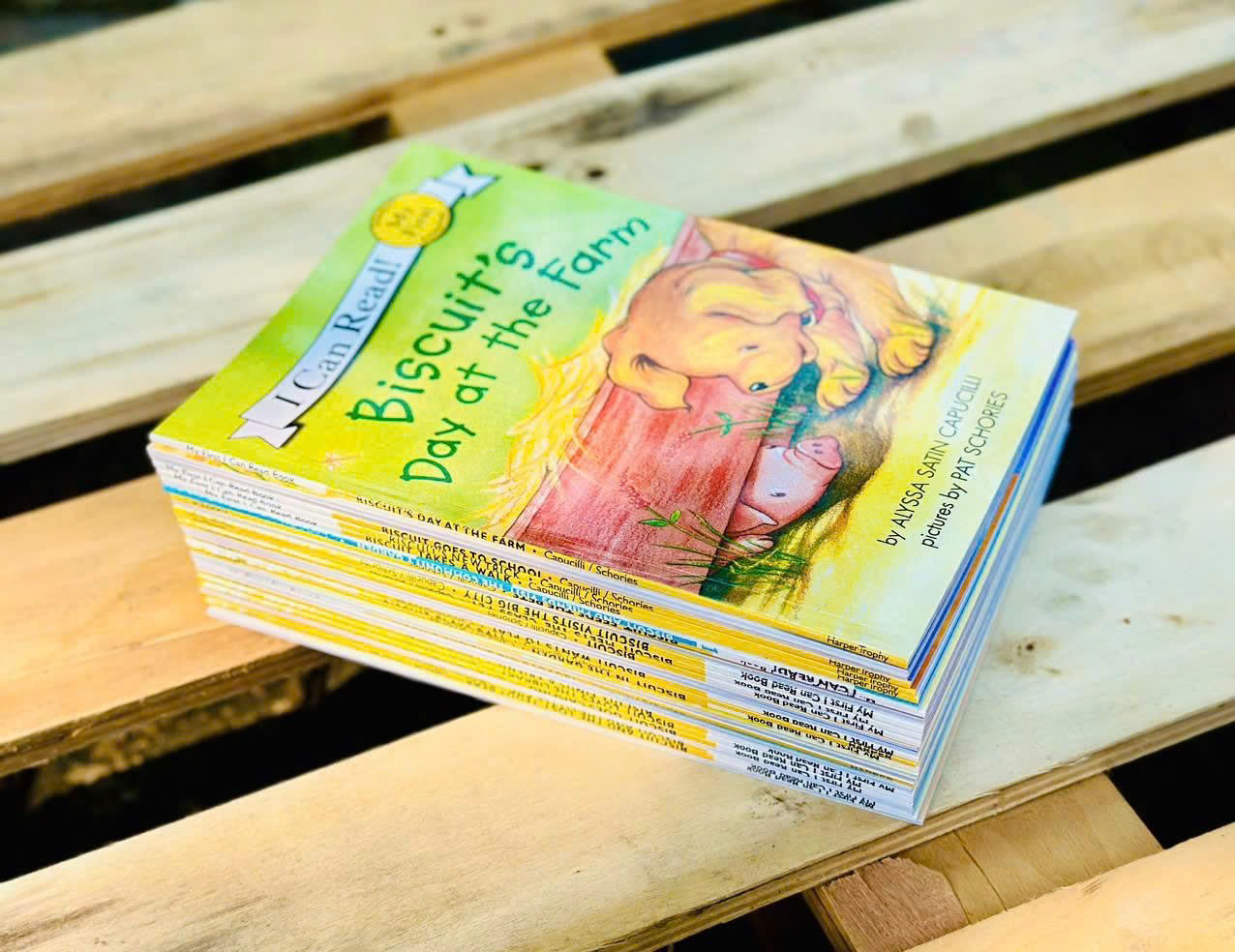 Bộ 27 cuốn sách nhập khẩu I can Read Biscuit_thumbnail_1