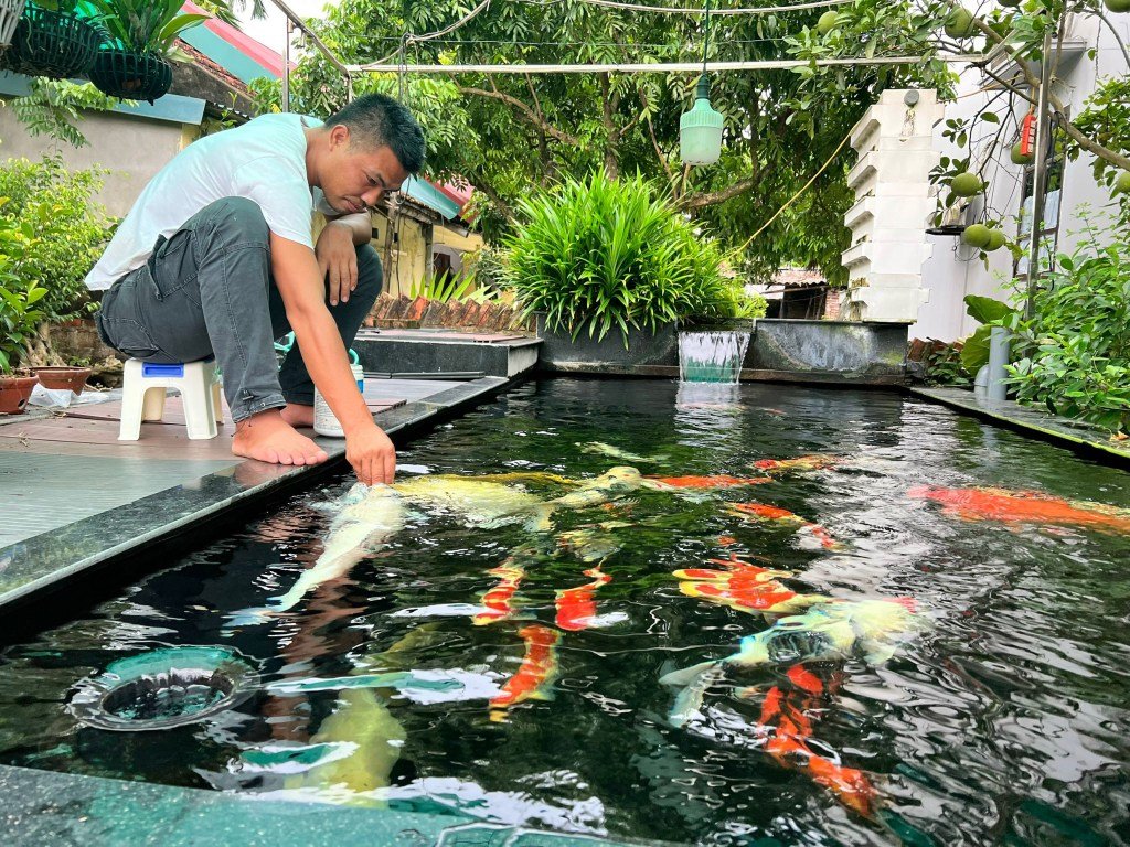 Nâng cao sức khoẻ và phòng bệnh trên cá rô phi, diêu hồng trên ao mùa nắng nóng từ bộ giải pháp của Hải Vương Việt Nam