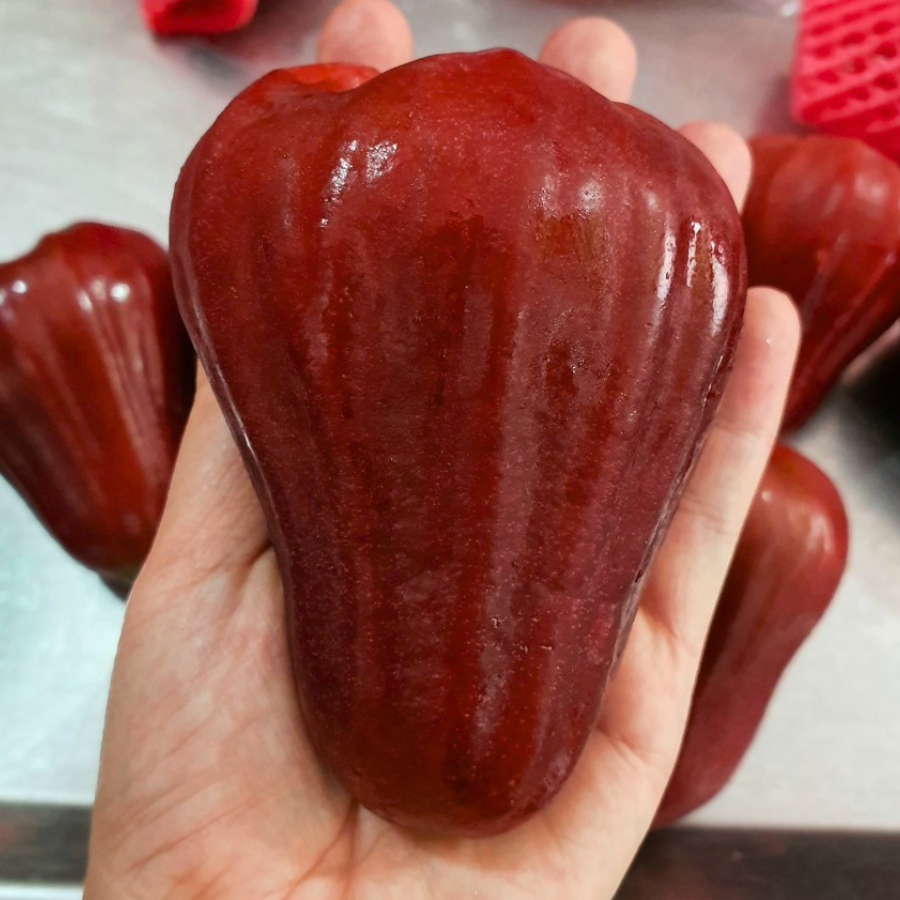 Mận an phước_thumbnail_5