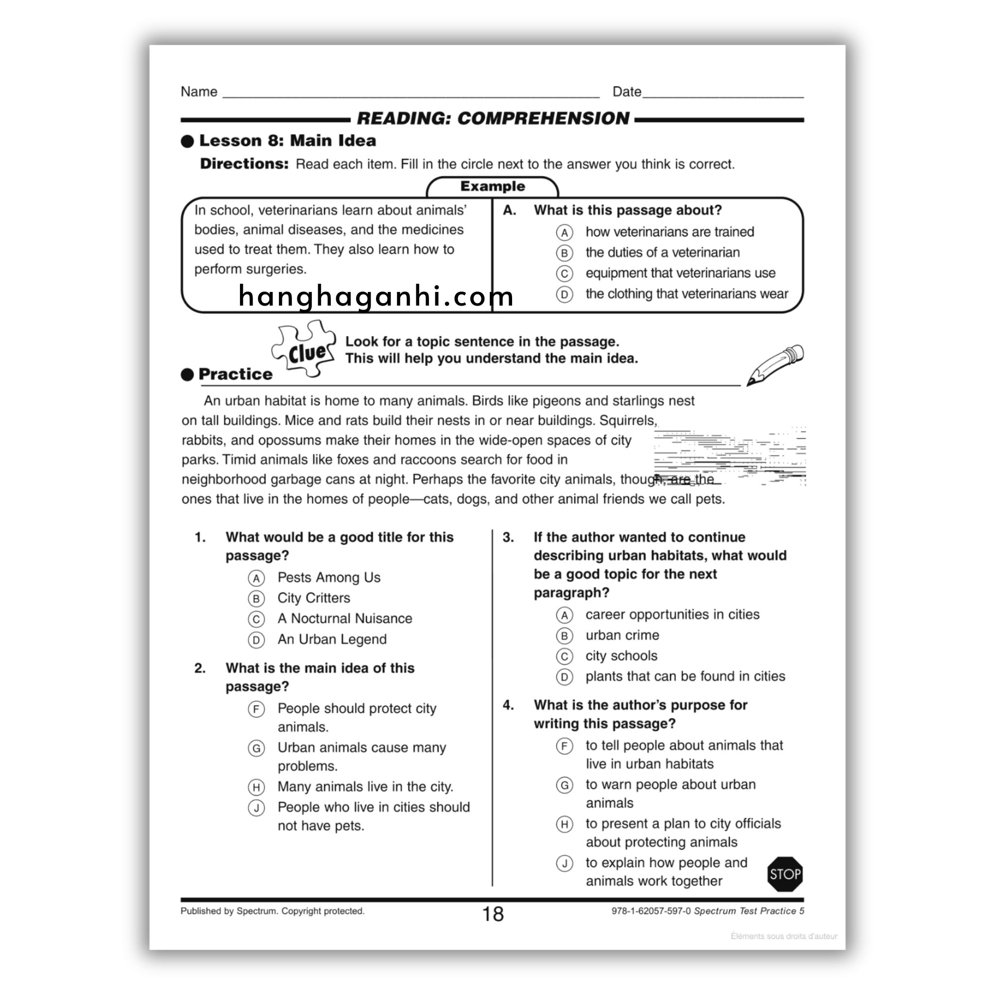 Sách Spectrum Test Practice Workbook Grade 5_thumbnail_11