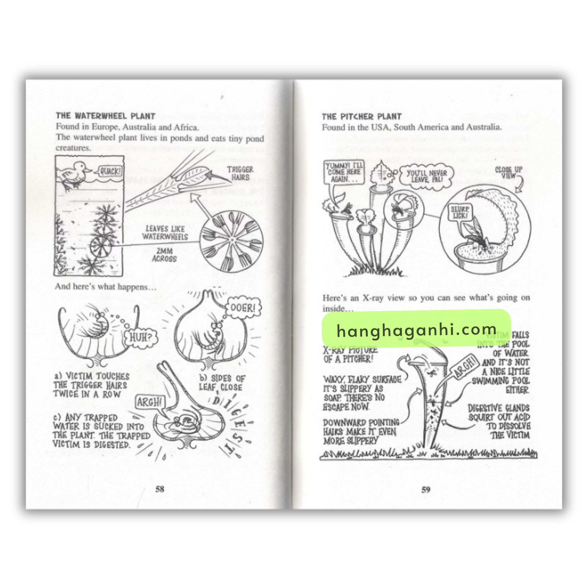 Bộ sách Horrible Science (sách nhập khẩu)_thumbnail_10