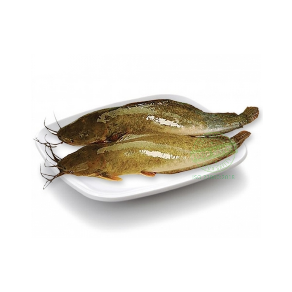 Cá trê nguyên con | 300G