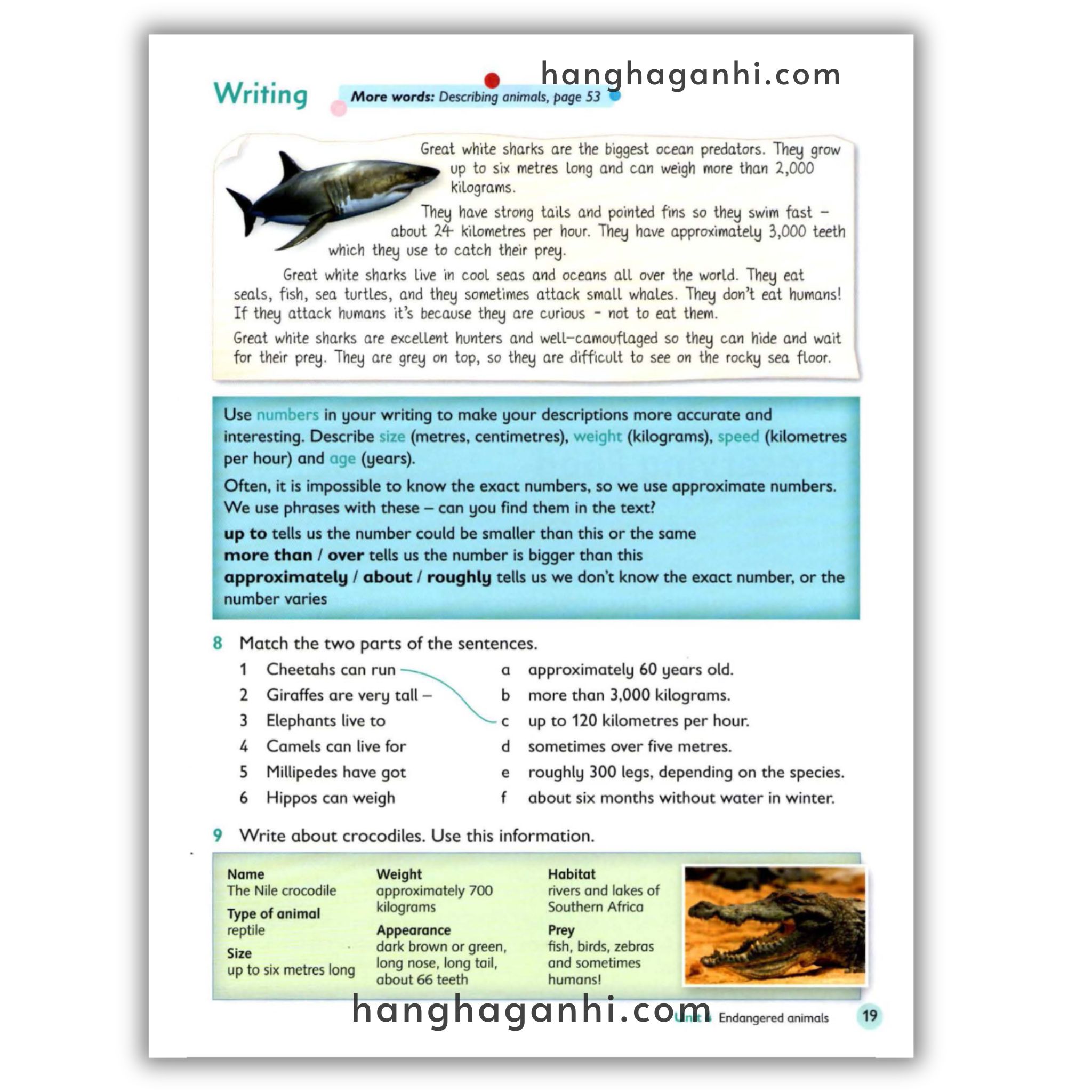 Oxford Primary Skills 6 – Reading And Writing_thumbnail_10