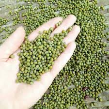 Đậu xanh hạt 1kg