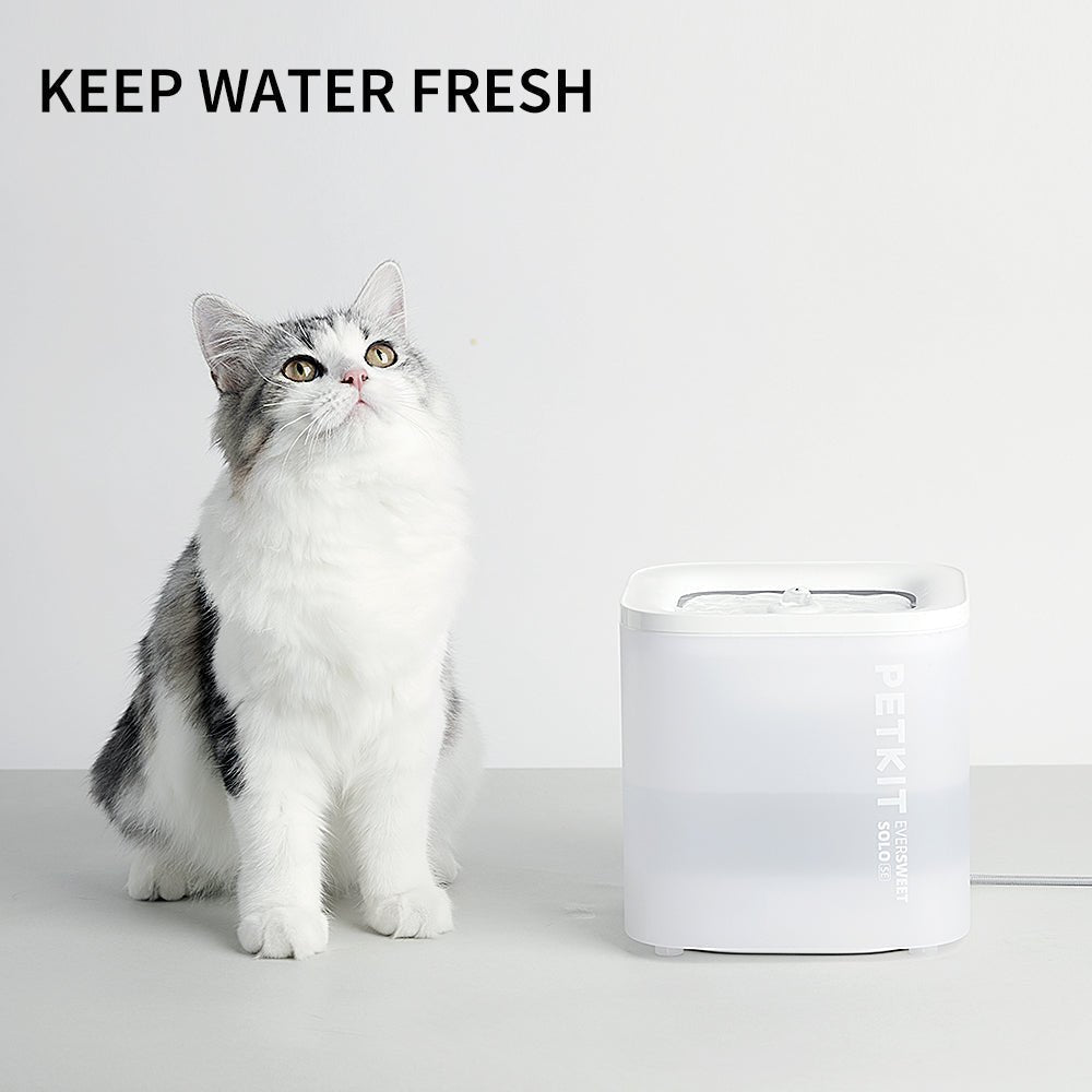 PETKIT Eversweet SOLO SE Cordless Pet Water Fountain_thumbnail_6
