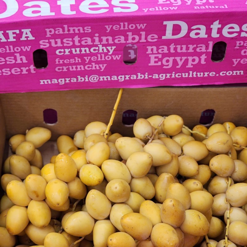 Chà Là Tươi Ai Cập_thumbnail_2