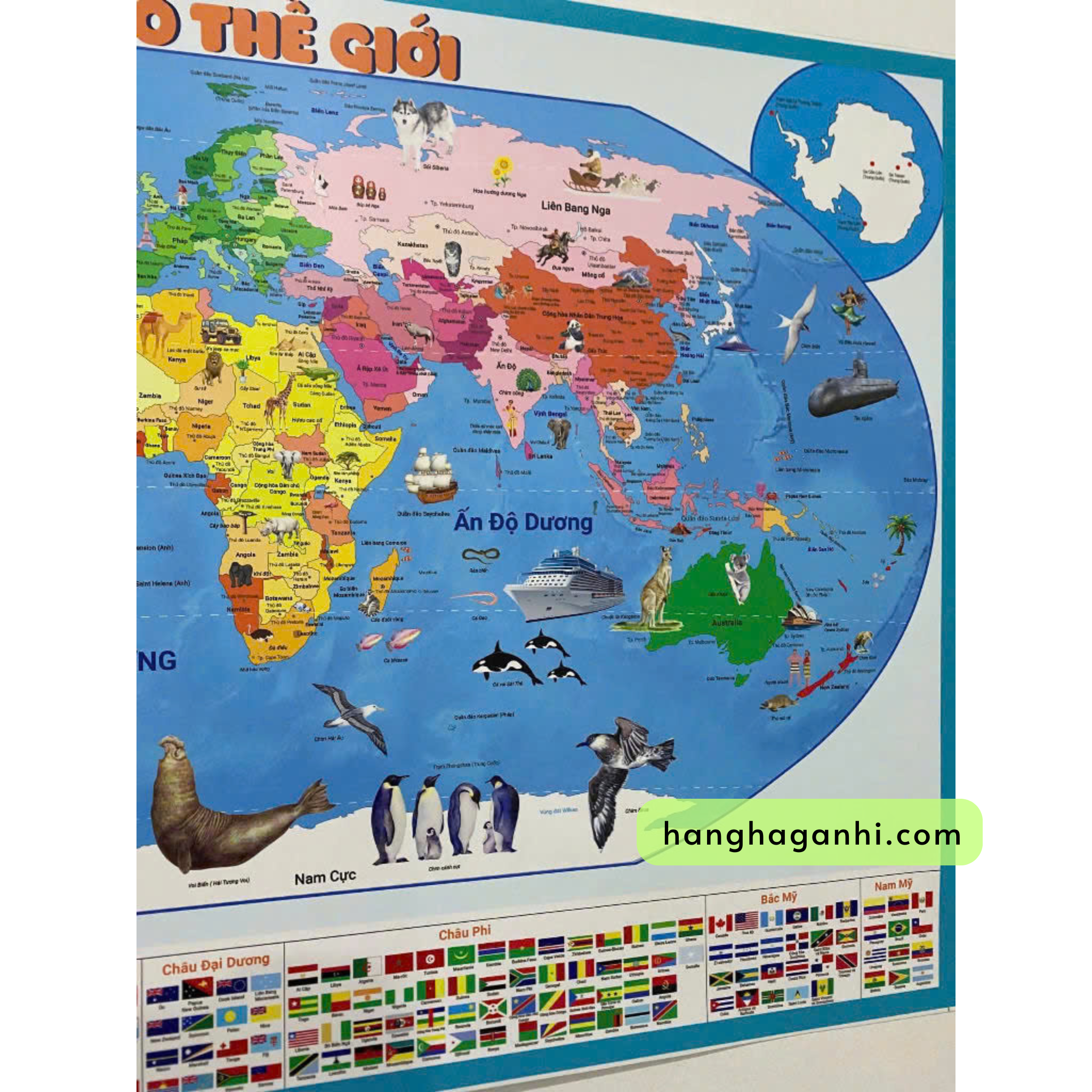 Bộ 2 chiếc bản đồ dán tường Việt Nam và thế giới size 60x90cm_thumbnail_4