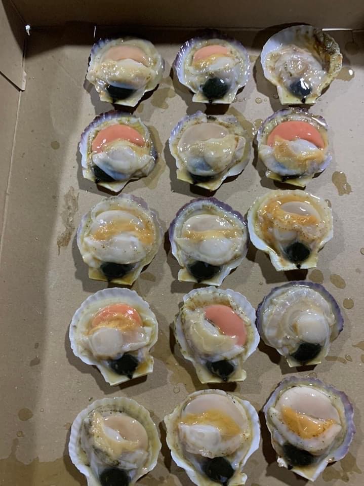 Sò Điệp Nhật nguyên con_thumbnail_5