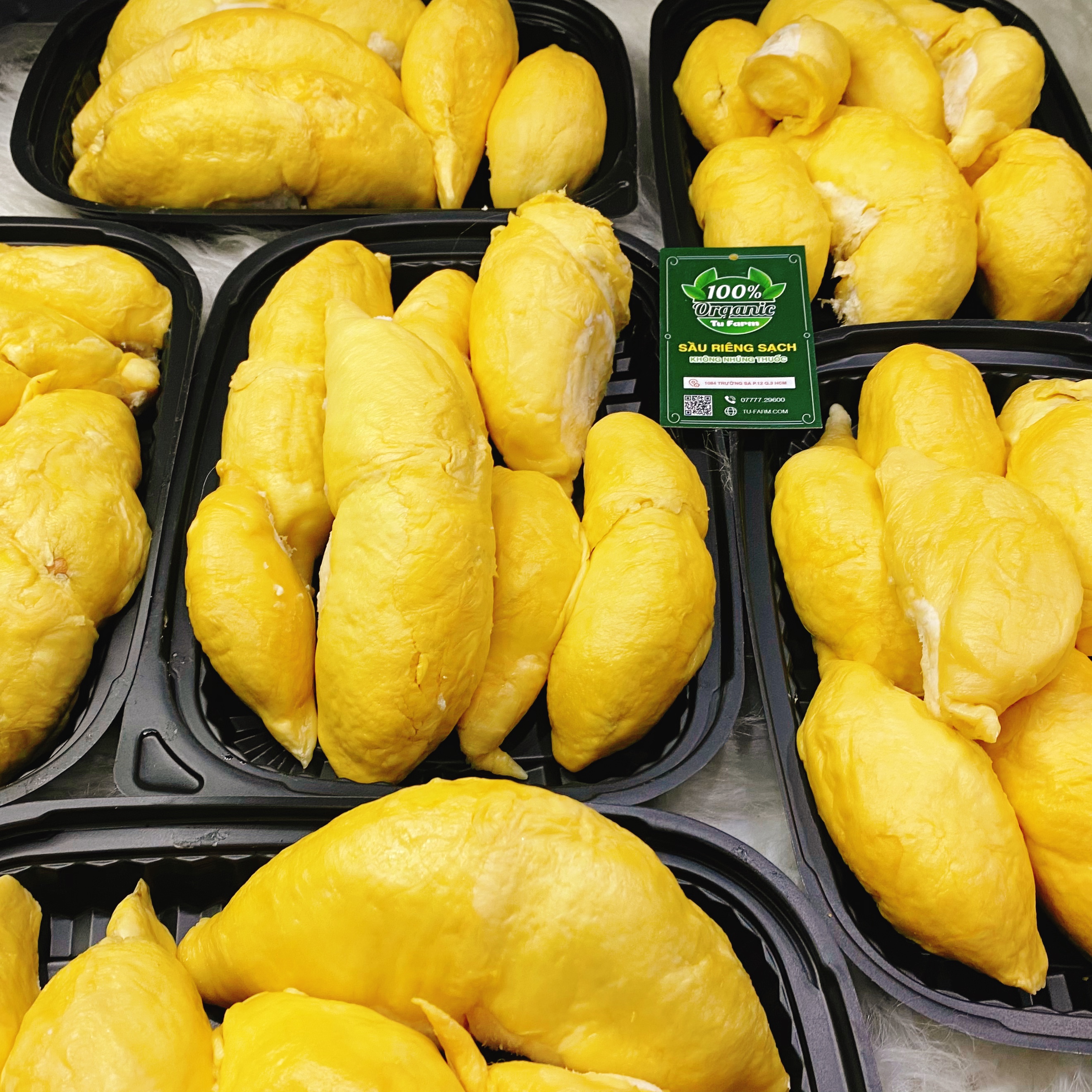 Tách sẵn - Sầu riêng Ri6 ( VIETGAP ) - Miền tây_thumbnail_6