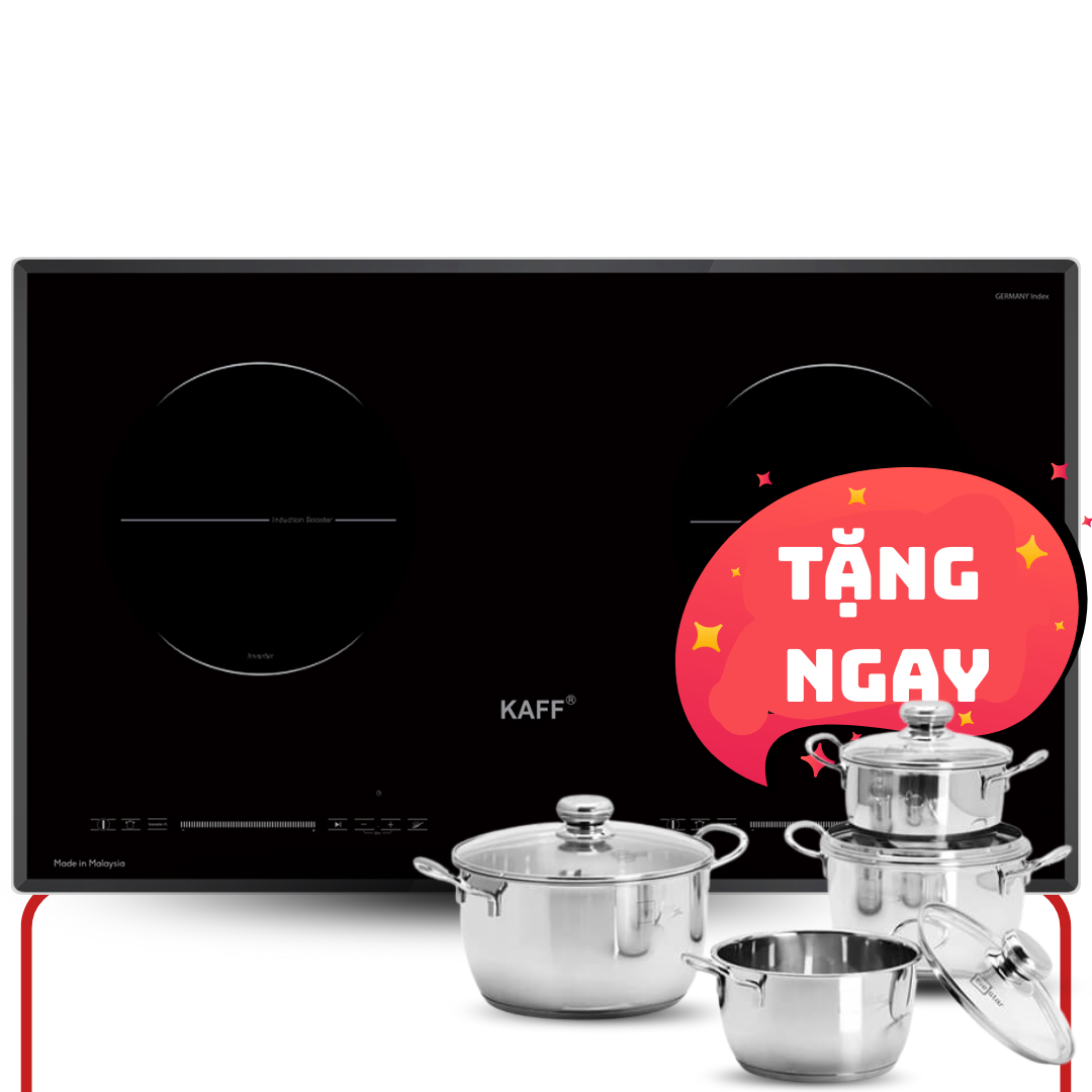 Bếp từ KF-SD300II