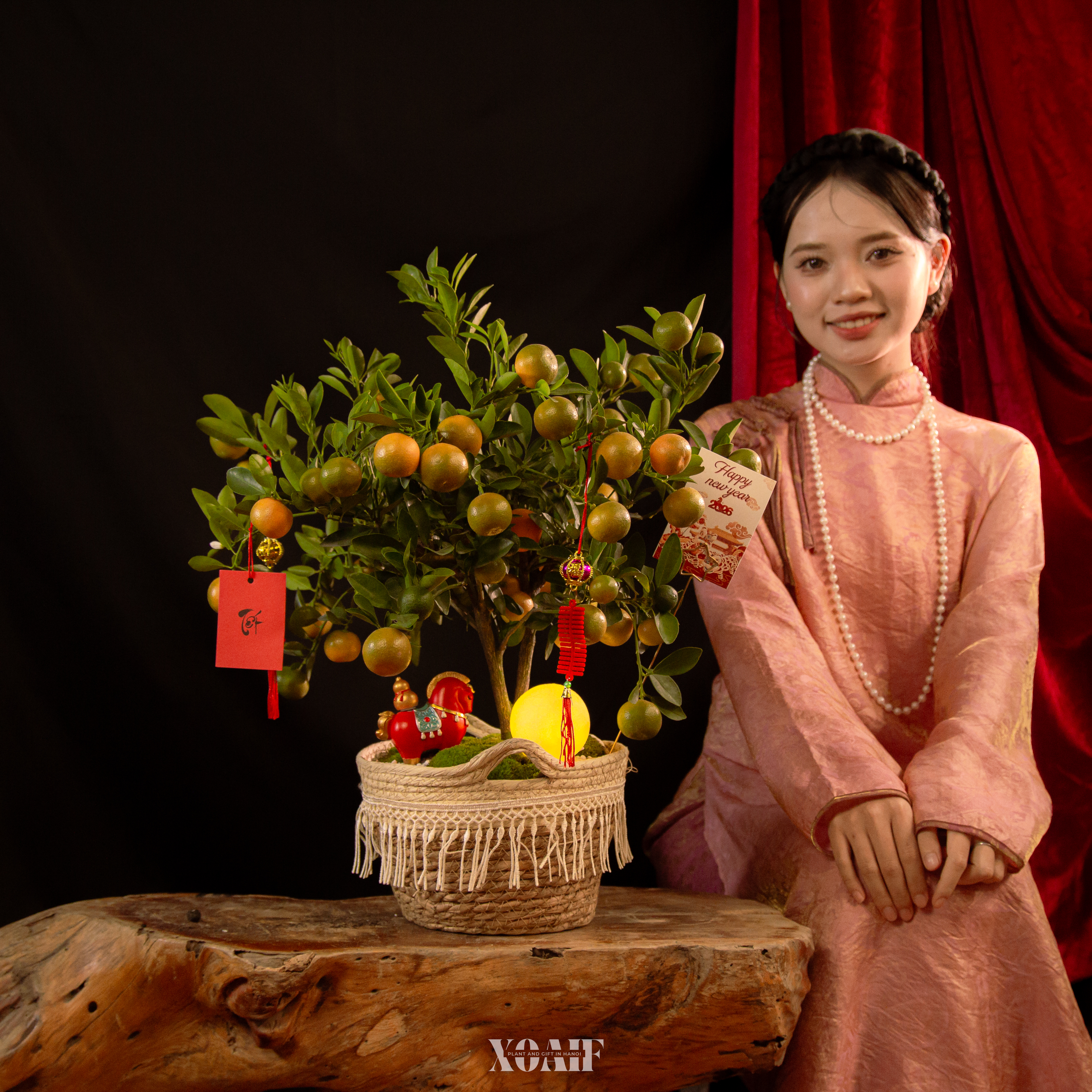 NGUYỆT HIÊN_thumbnail_4