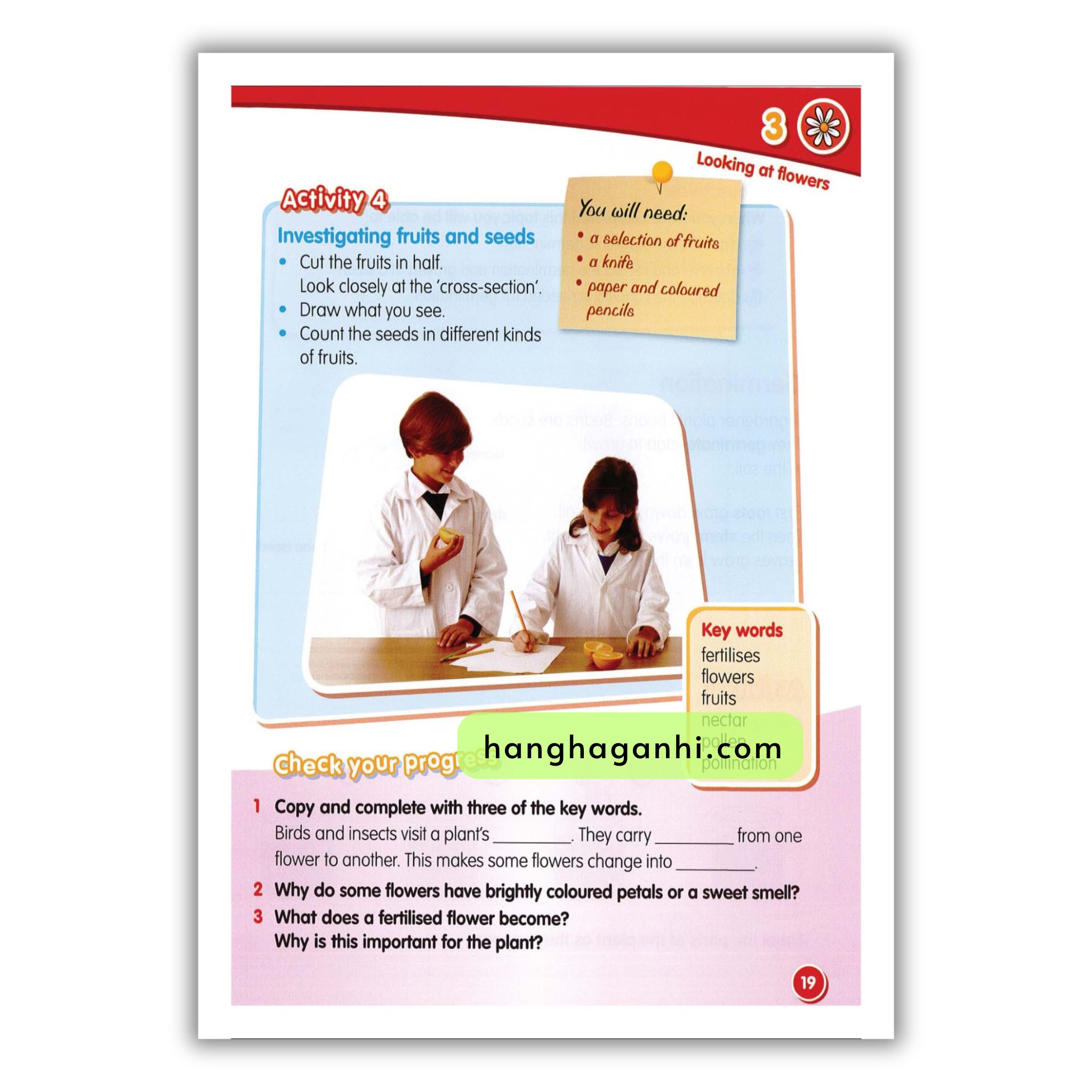 Macmillan Science 3 Pupil’s book_thumbnail_13