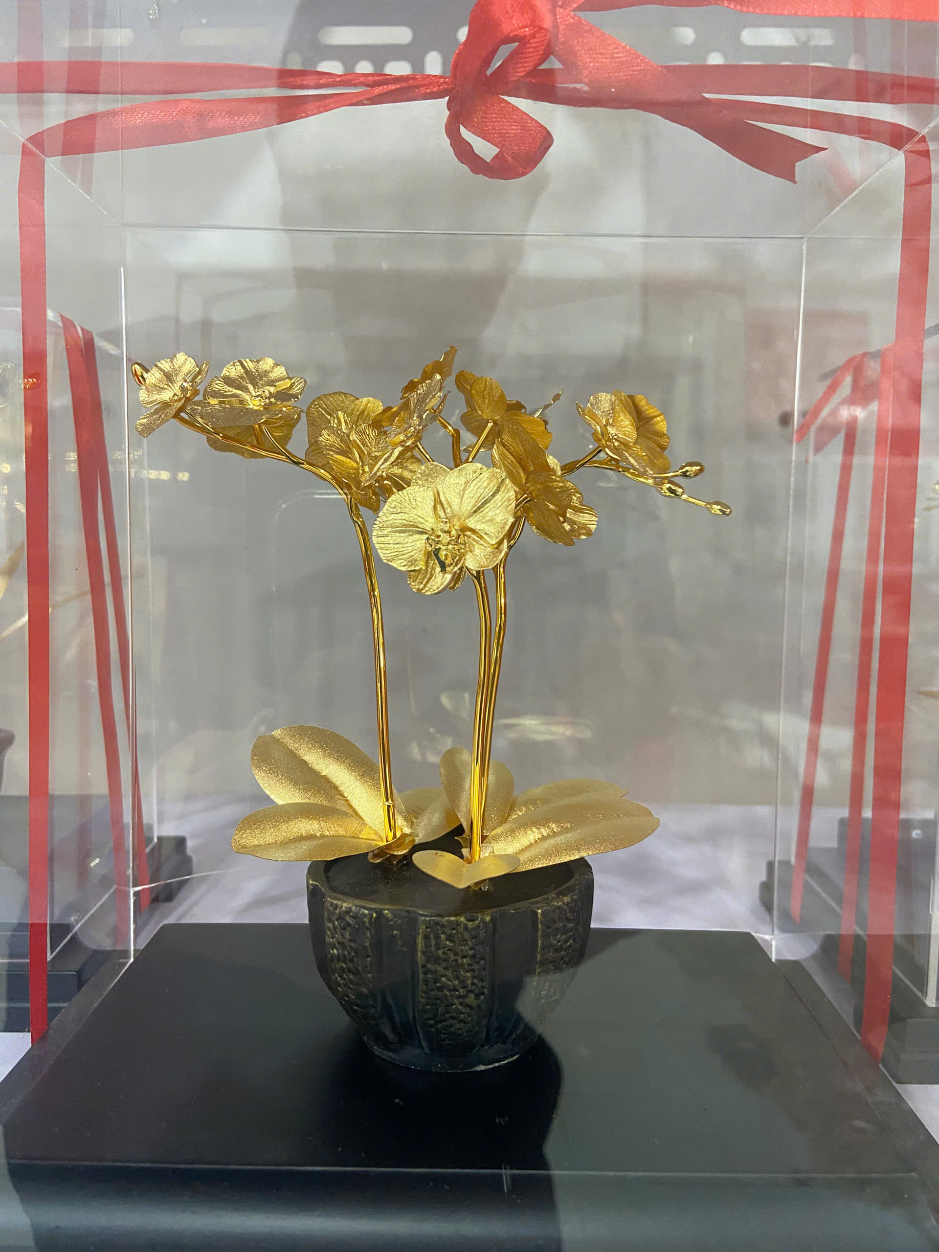 Qùa tặng hoa lan hô điệp dát vàng 24k Kt CAO 22 CM _thumbnail_4