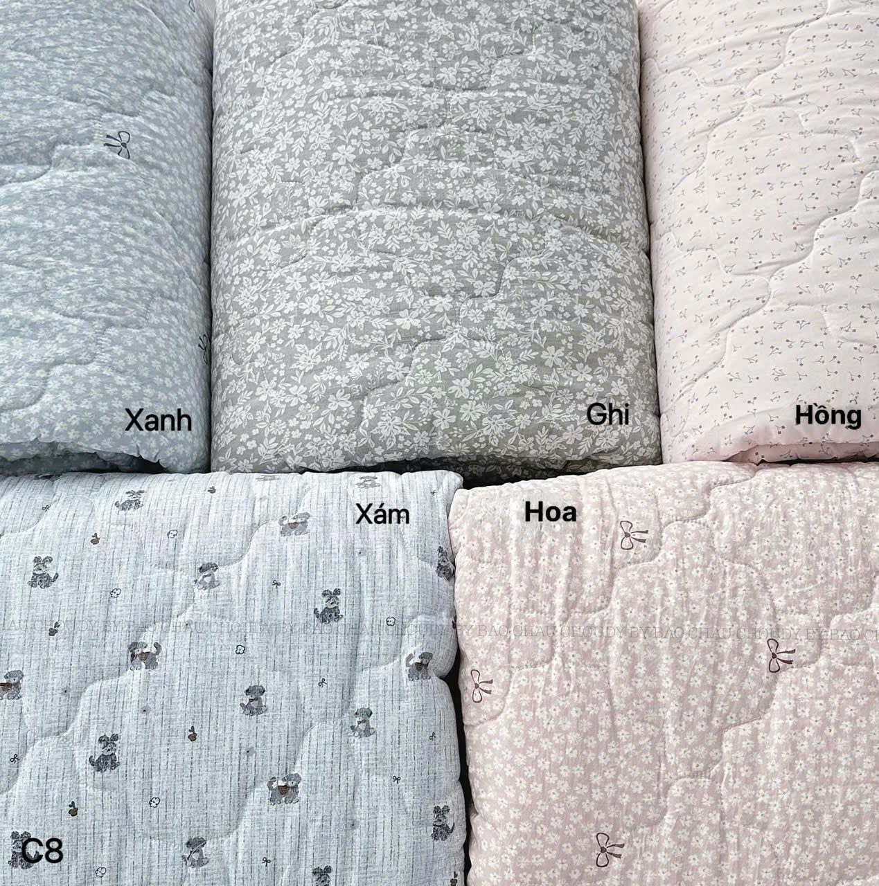 C8 CHĂN 5 MÀU_thumbnail_2