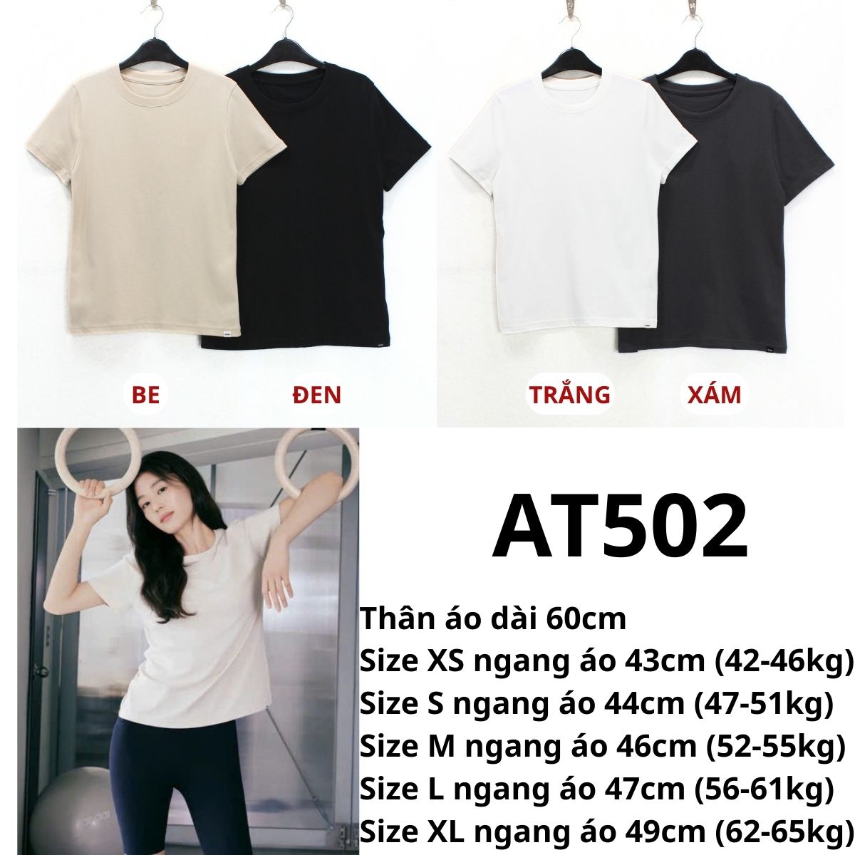 AT502 - Áo thun Anda