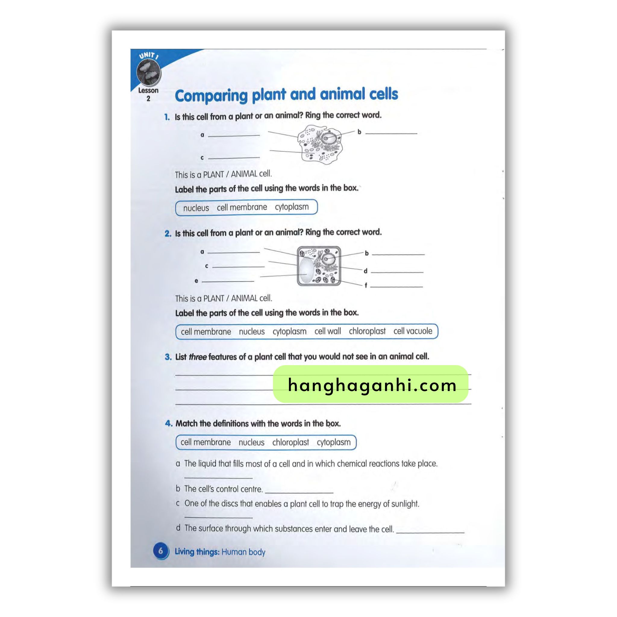 Macmillan Science 6 Workbook_thumbnail_18