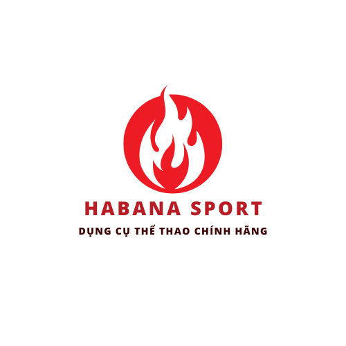 Bàn Xoay Eo Đốt Mỡ Habana Sport [ Kèm Bộ Phụ Kiện Chuyên Dụng] + Đai Chống Gù)