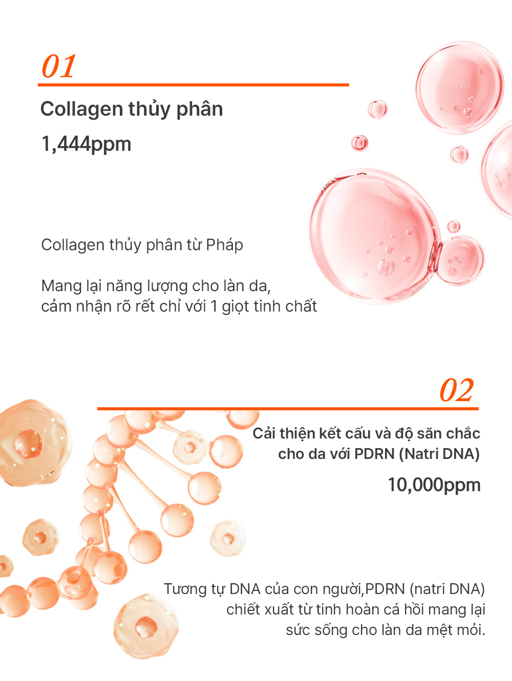 Tinh chất dưỡng da Elraive Pro PDRN Concentrate 3ml*6ea_thumbnail_4
