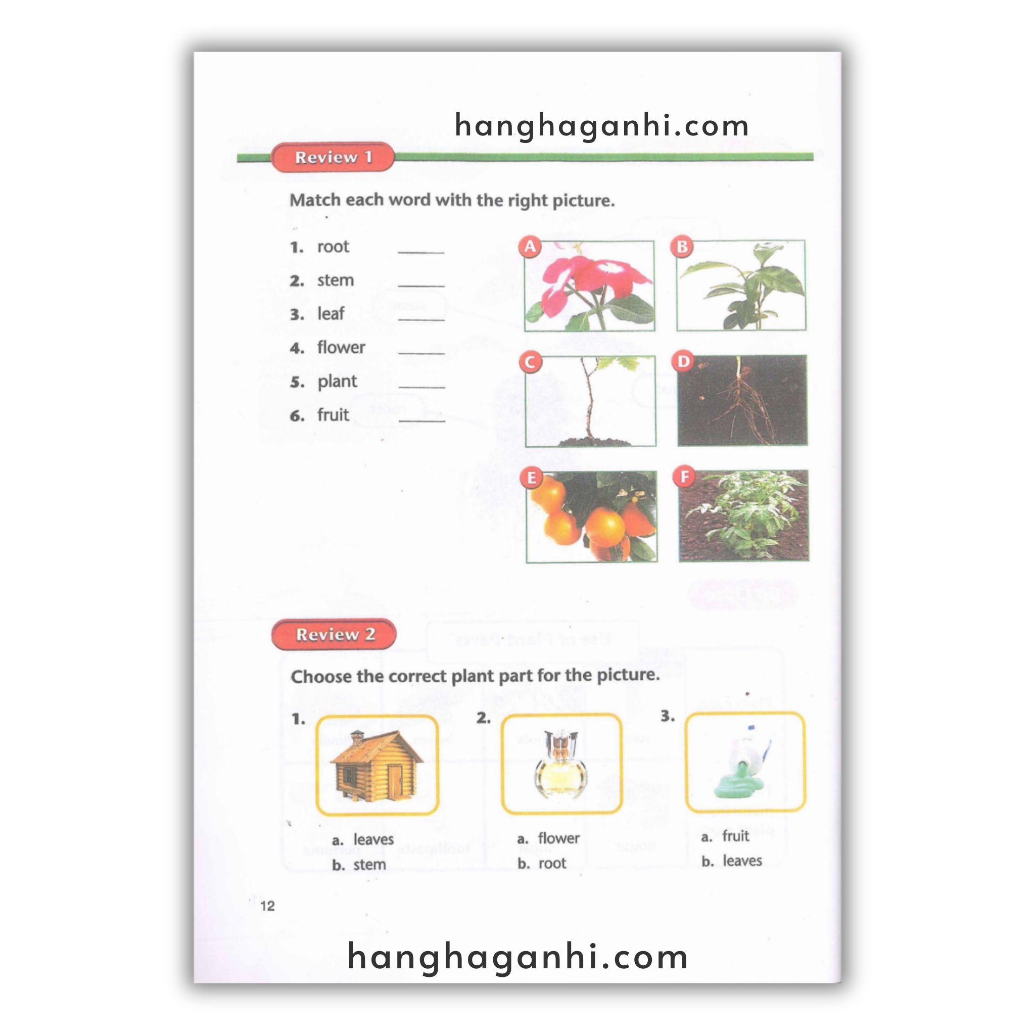 American Text Book Reading – Trọn Bộ 4 Grade 8 cuốn ( Kèm File nghe và Video)_thumbnail_4