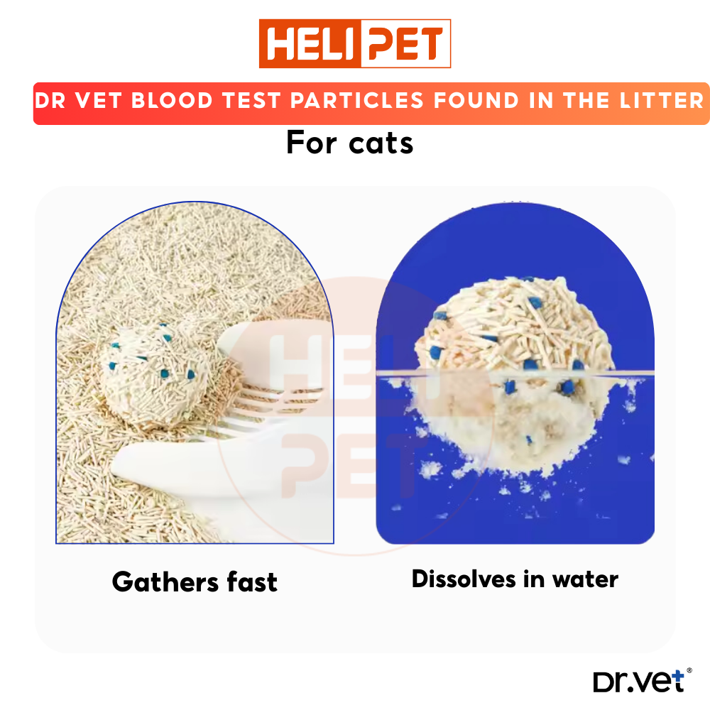 DR.VET Cat detects blood _thumbnail_3