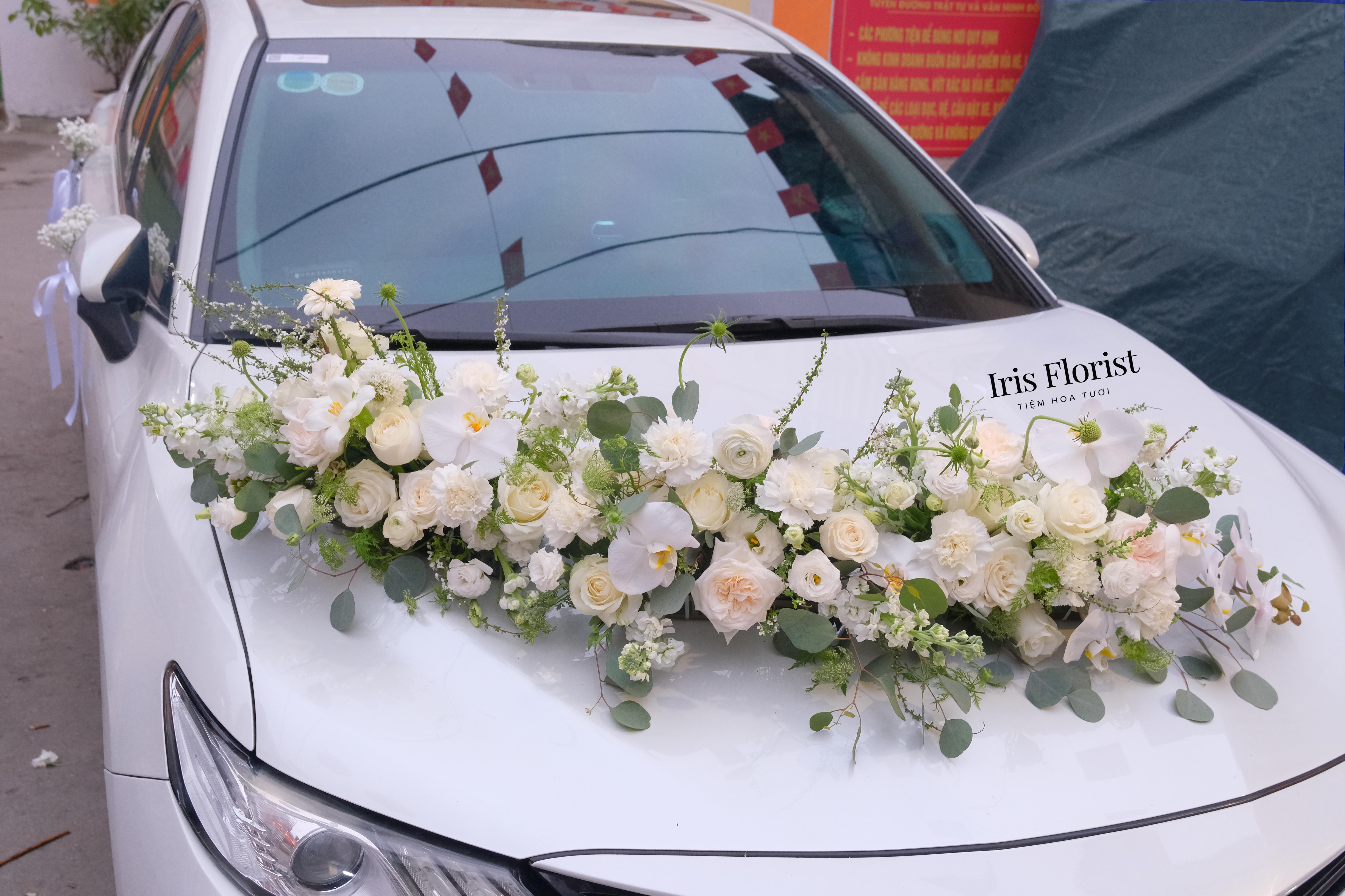 Wedding Car - Xe cưới tone trắng Luxury