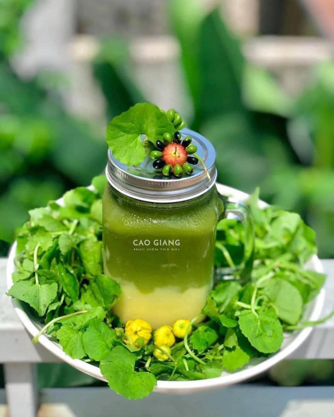 Lớp Đậu Xanh Rau Má_thumbnail_1