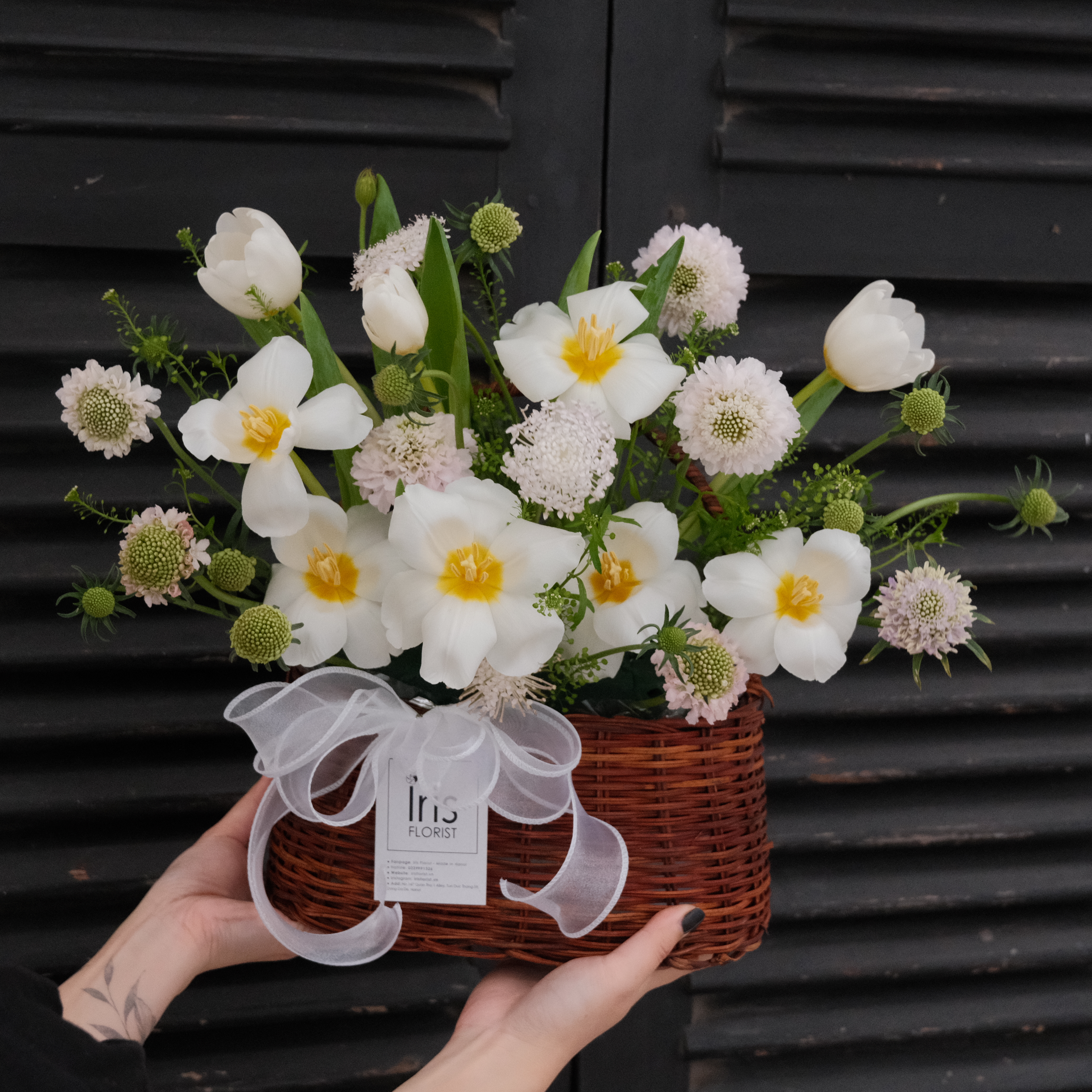 Giỏ hoa Tulip mix hoa phụ