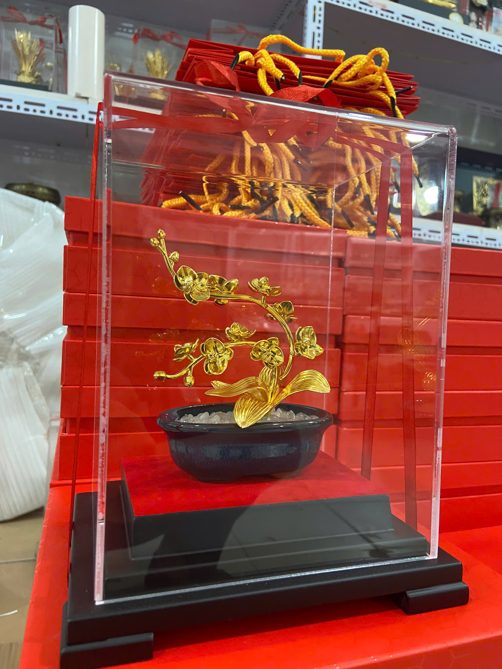 Chậu hoa lan hồ điệp chậu xanh  quà tặng mạ vàng 24k KT CAO 22CM _thumbnail_3