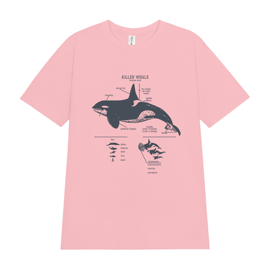 Áo thun nữ phong cách vintage form regular ARD2396 Miucho Chic vải cotton co giãn 4 chiều thoáng mát_thumbnail_13