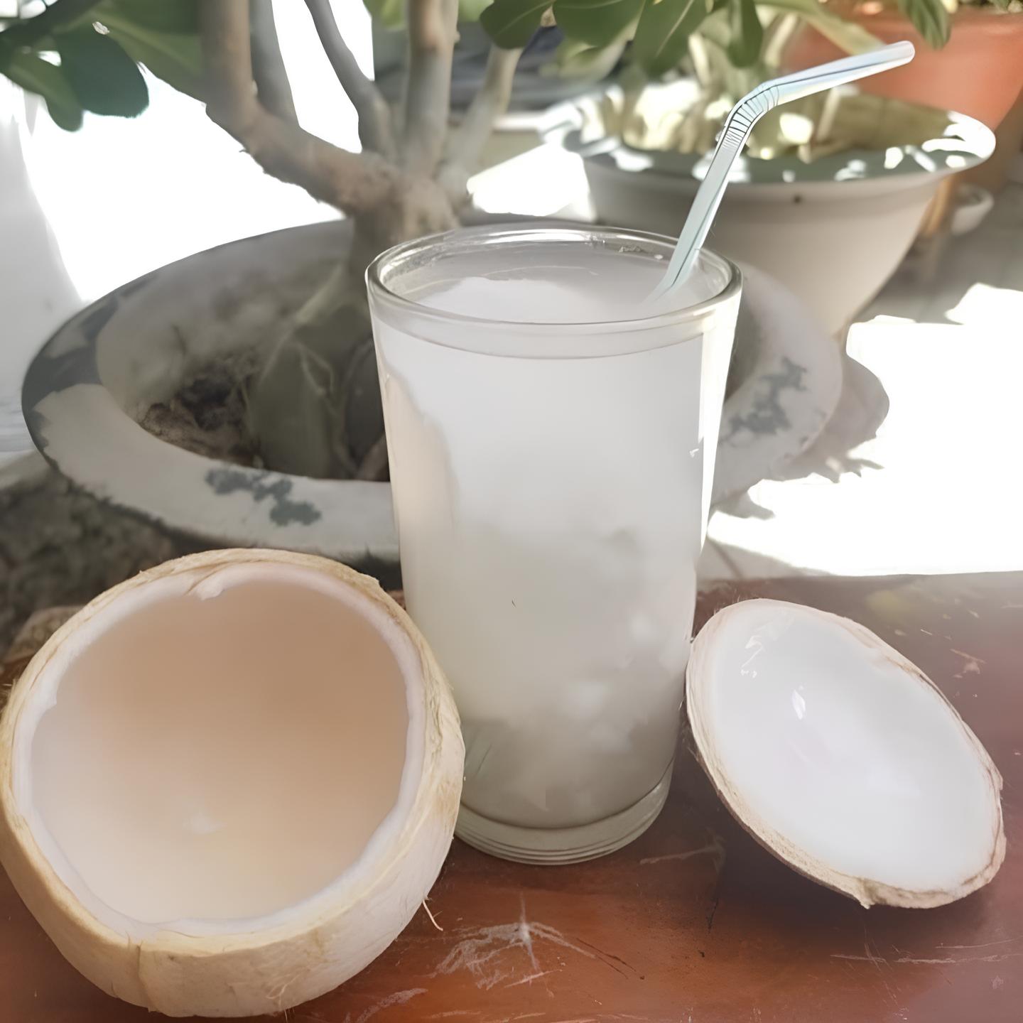 Dừa Xiêm Trọc_thumbnail_3
