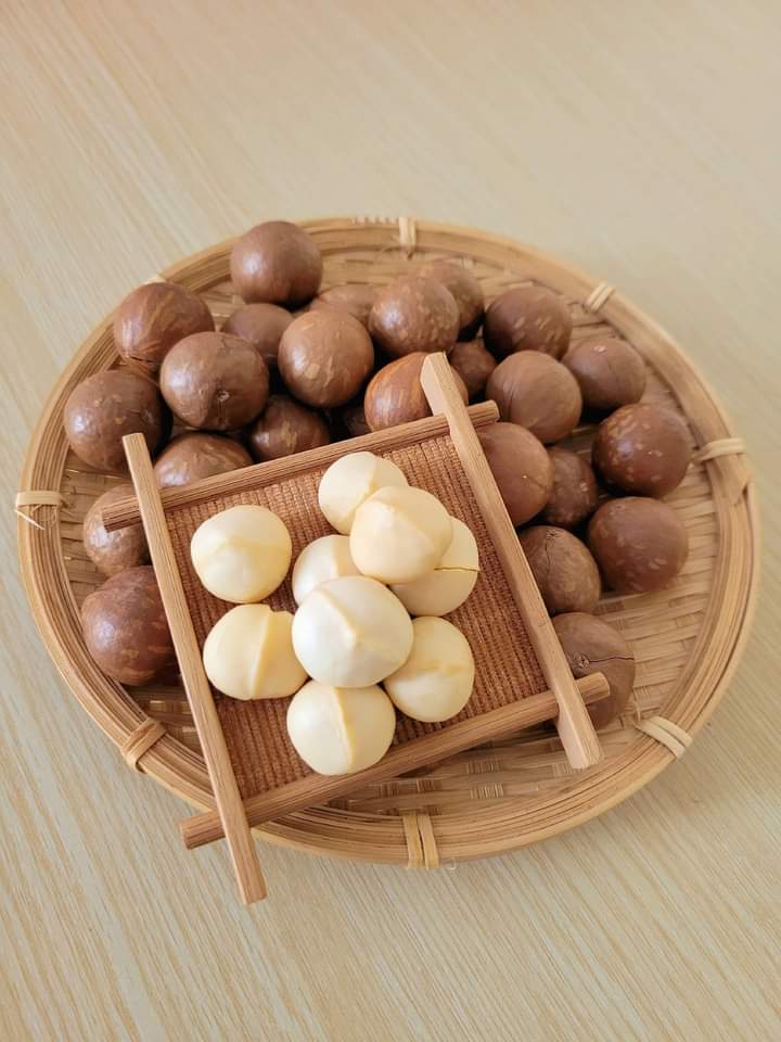 Hạt Macca_thumbnail_4