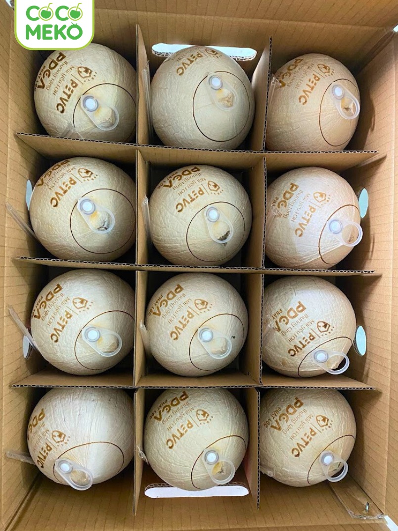 Gift Box of 12 Eyelet Cap Coconuts_thumbnail_1