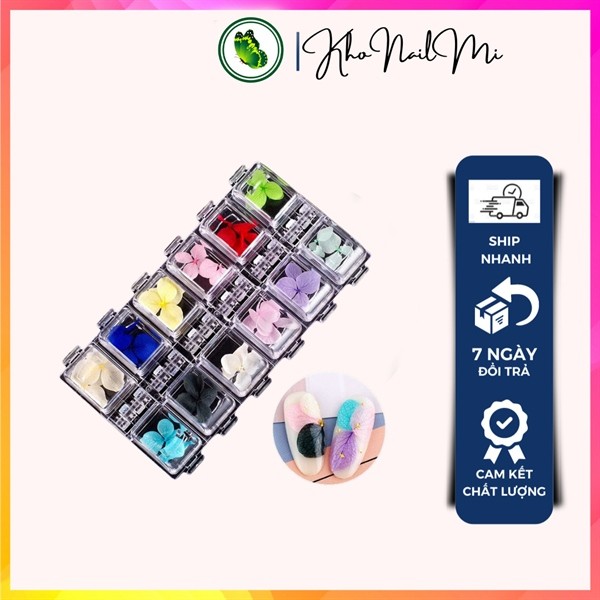 Set hoa khô - 4 cánh - 12 ô_thumbnail_0