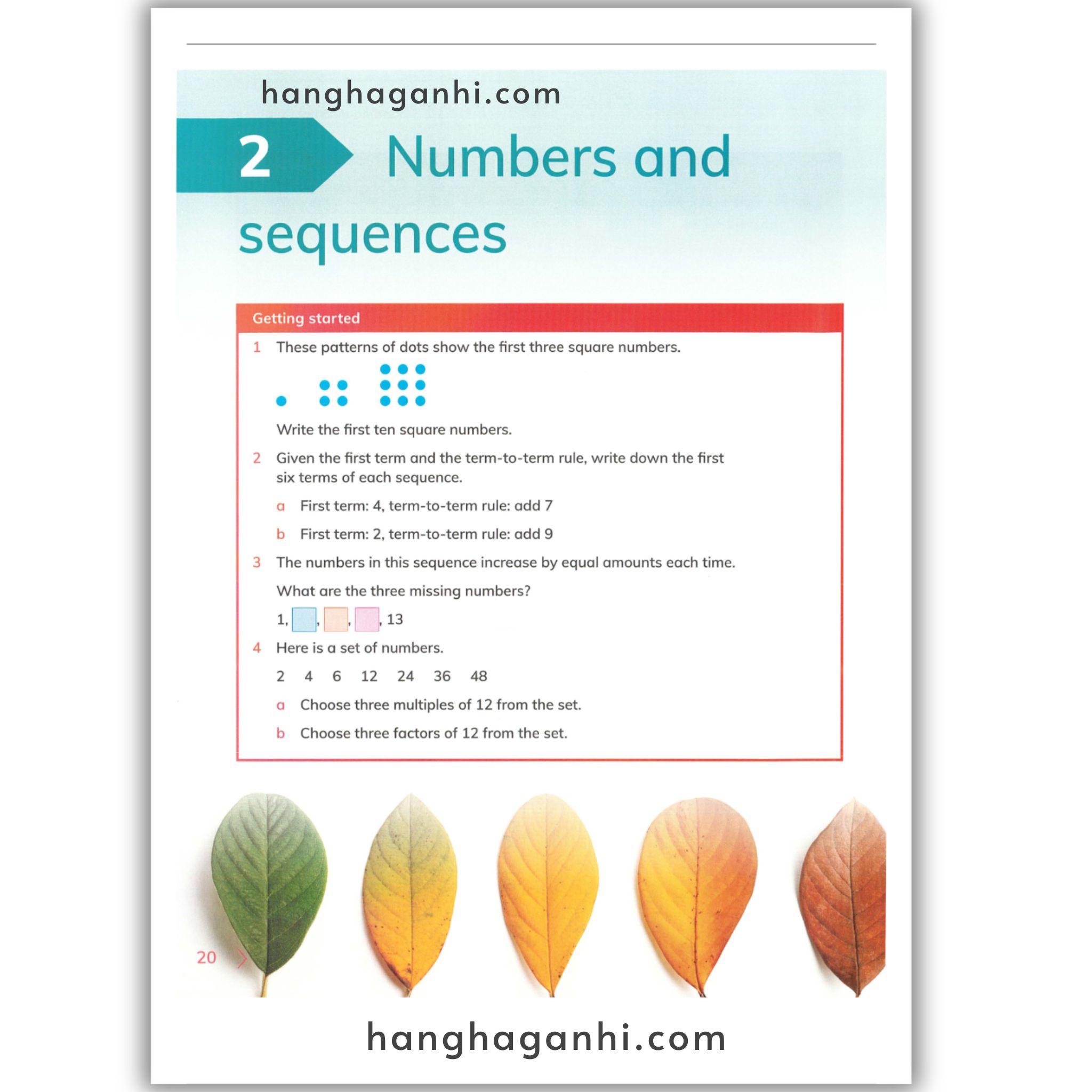 Cambridge Level 6 Primary Mathematics Learner’s Book 2Nd_thumbnail_9