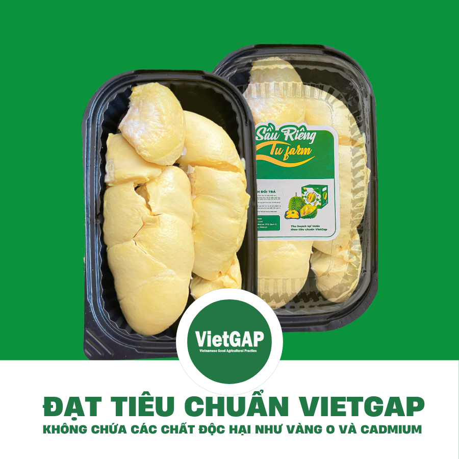 Trái Khui sầu - Sầu Riêng Ri6 MIỀN ĐÔNG ( VIETGAP )