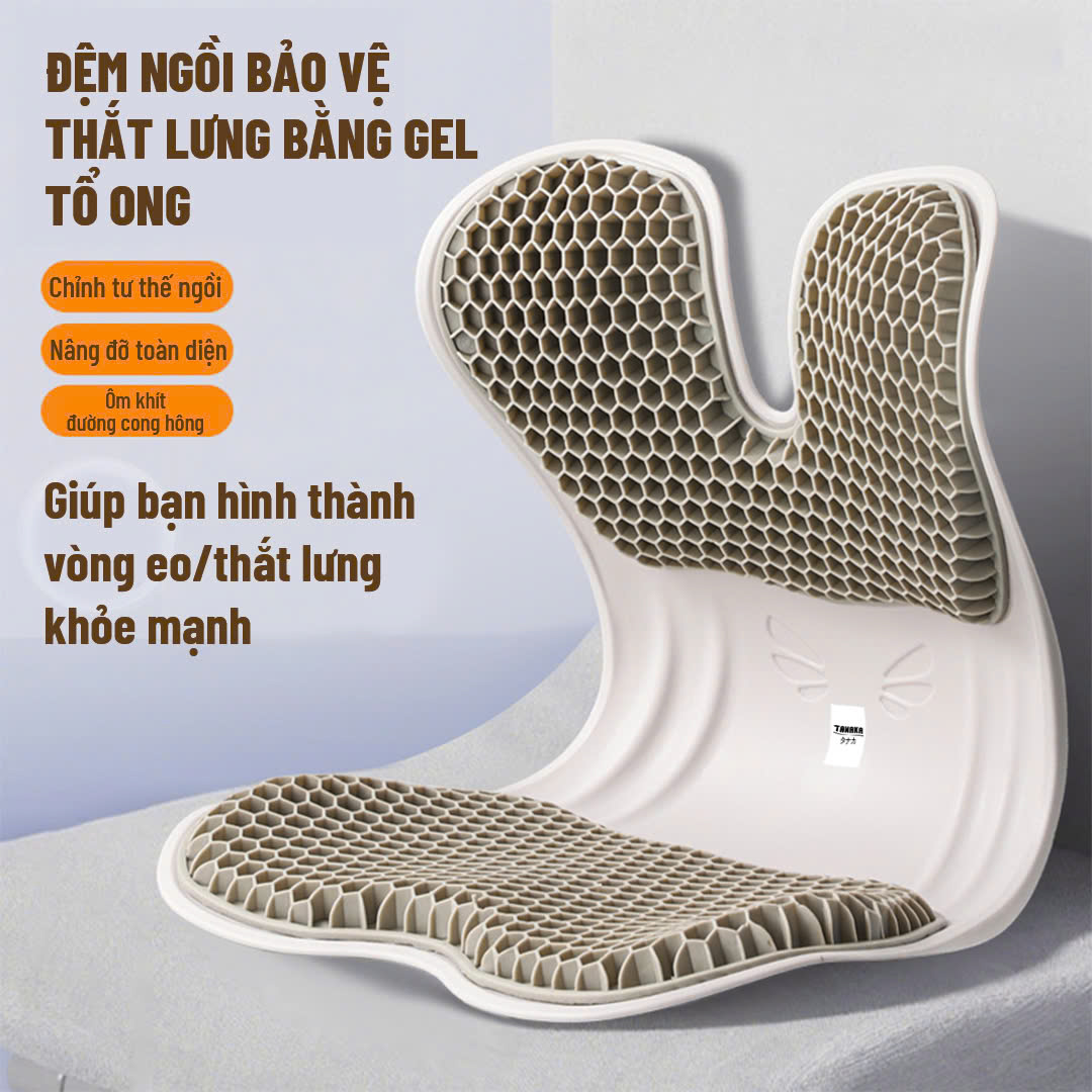 GHẾ CURBLE CÔNG THÁI HỌC_thumbnail_3