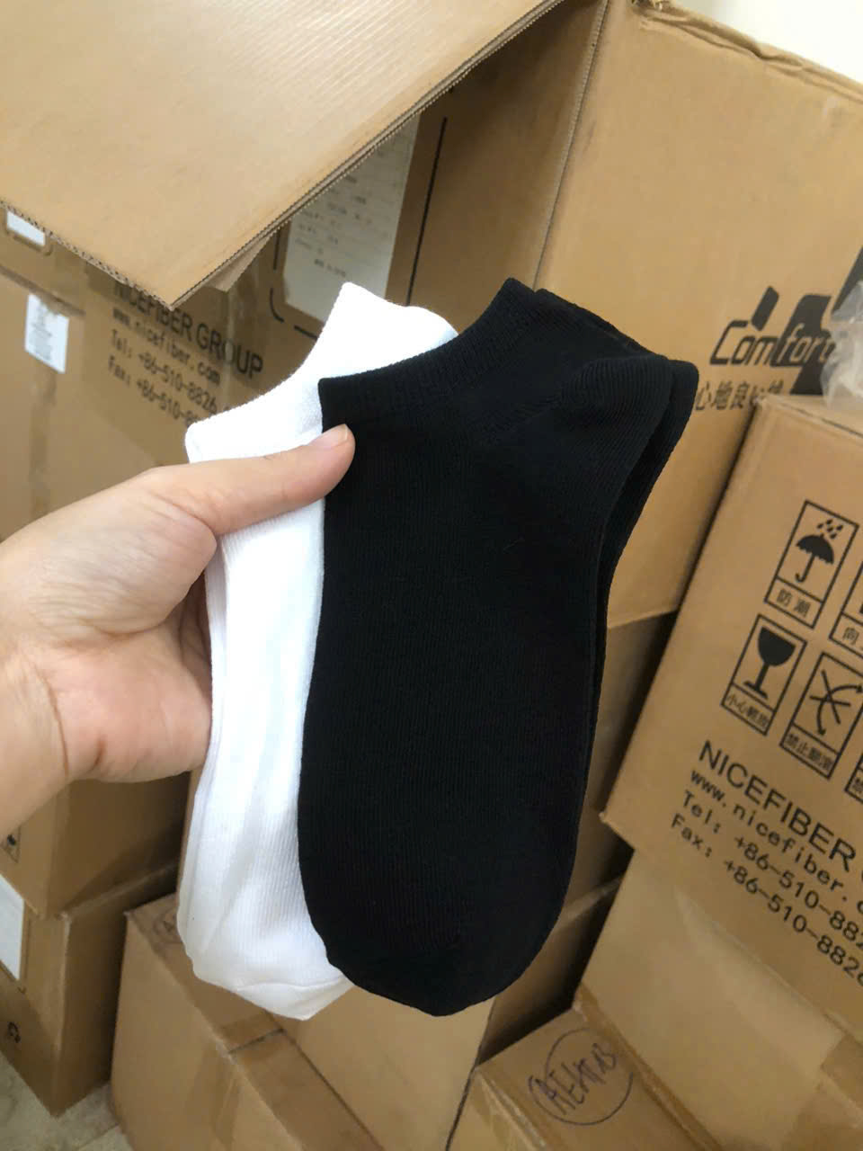 HL286 Set 10 đôi vớ lười ( 2 MÀU )