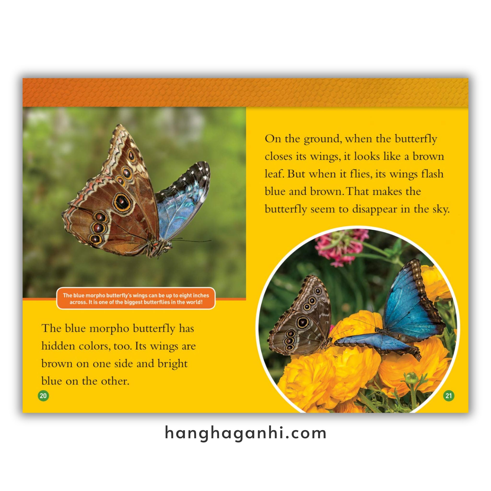 Bộ 41 cuốn National Geographic Kids level 2 - sách Khoa học tiếng Anh nhập khẩu, nguyên seal_thumbnail_18