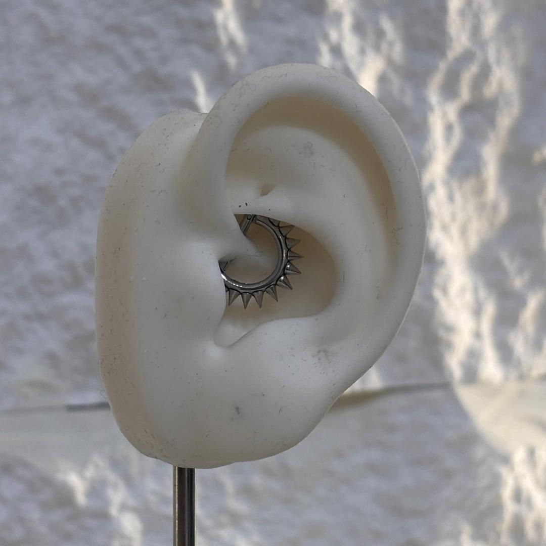 Daith thân thẳng gai nhọn_thumbnail_3