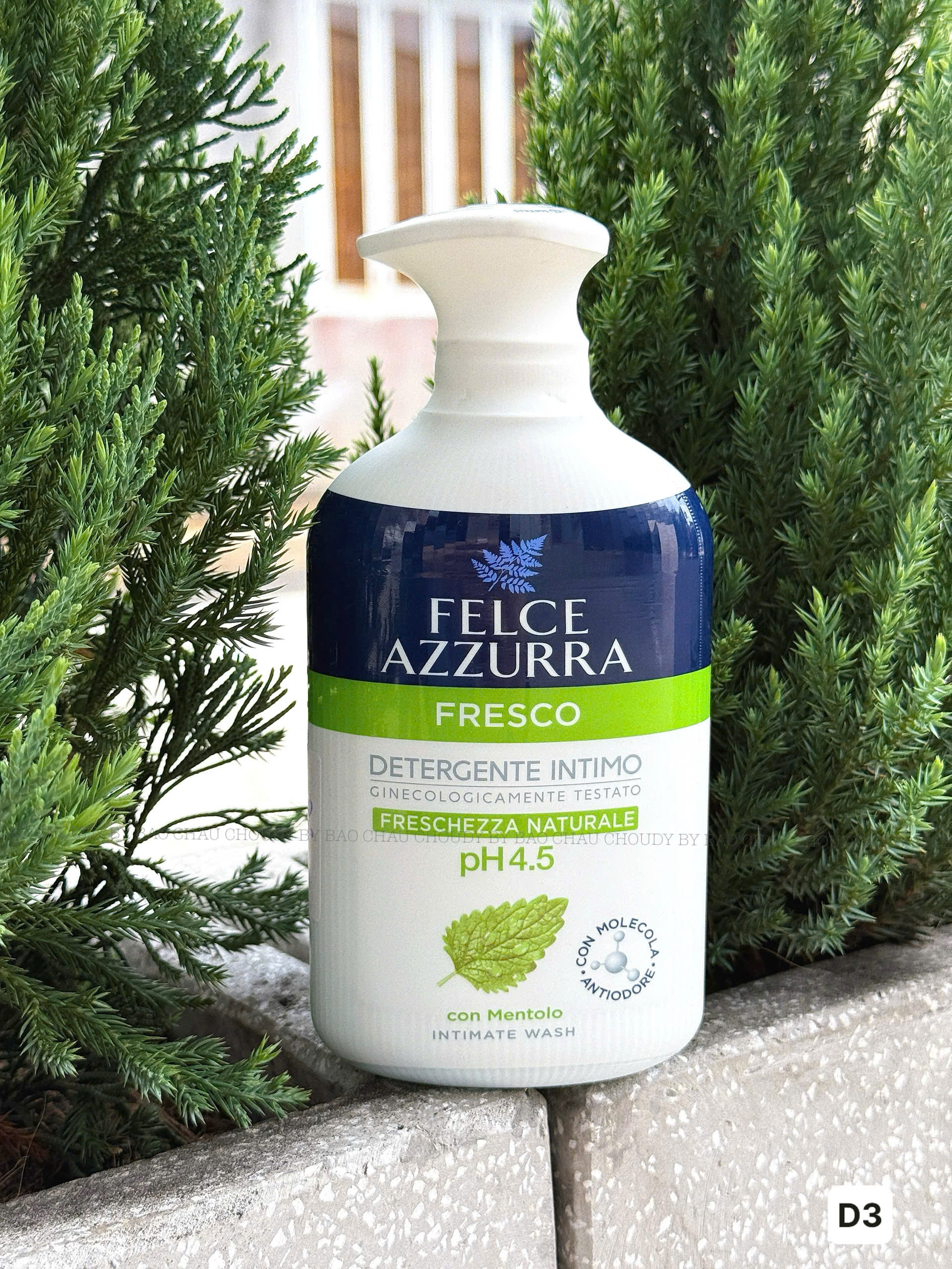 D3 DDVS 2 MÀU_thumbnail_1