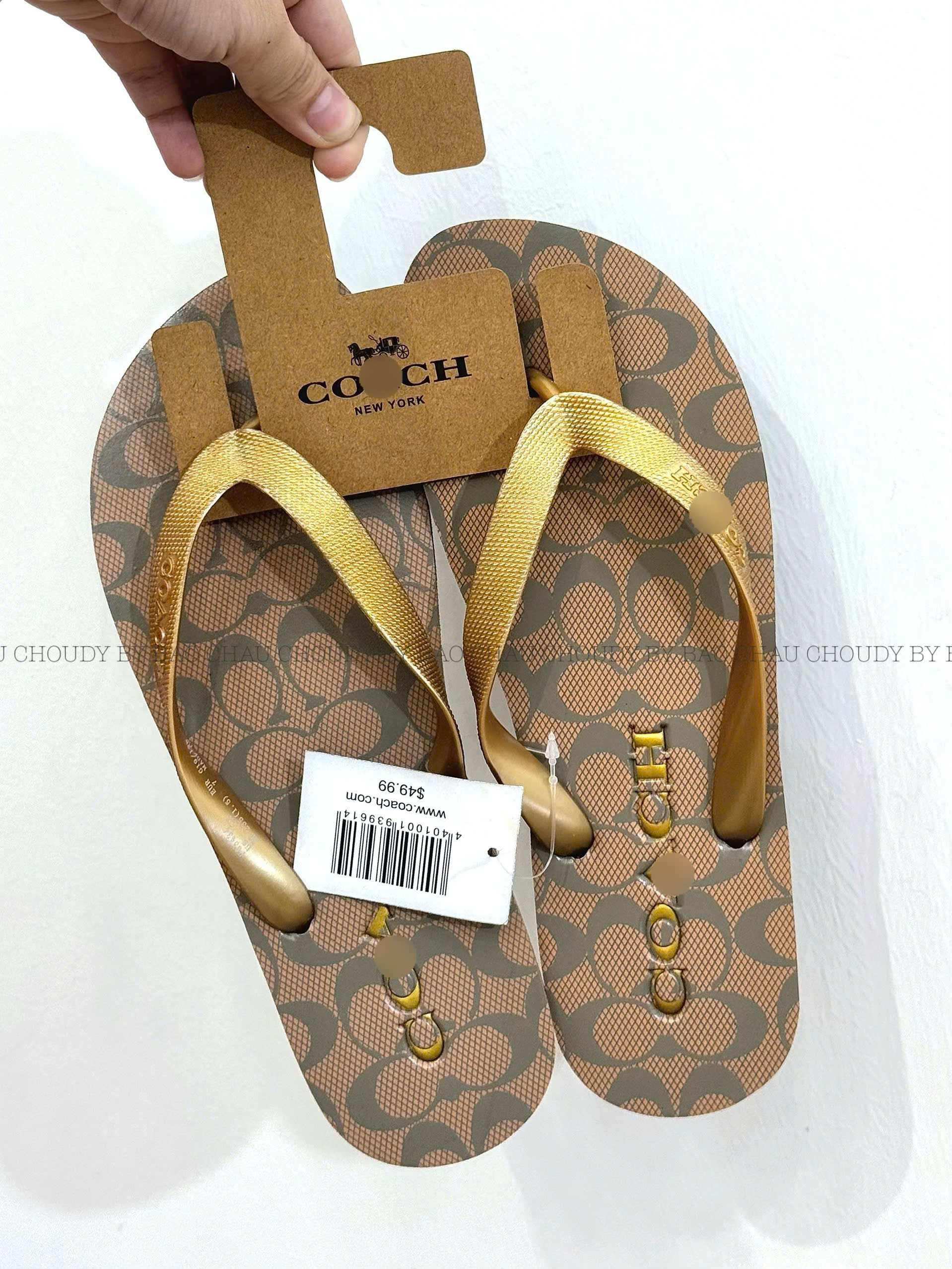 D103 DÉP 3 MÀU_thumbnail_2