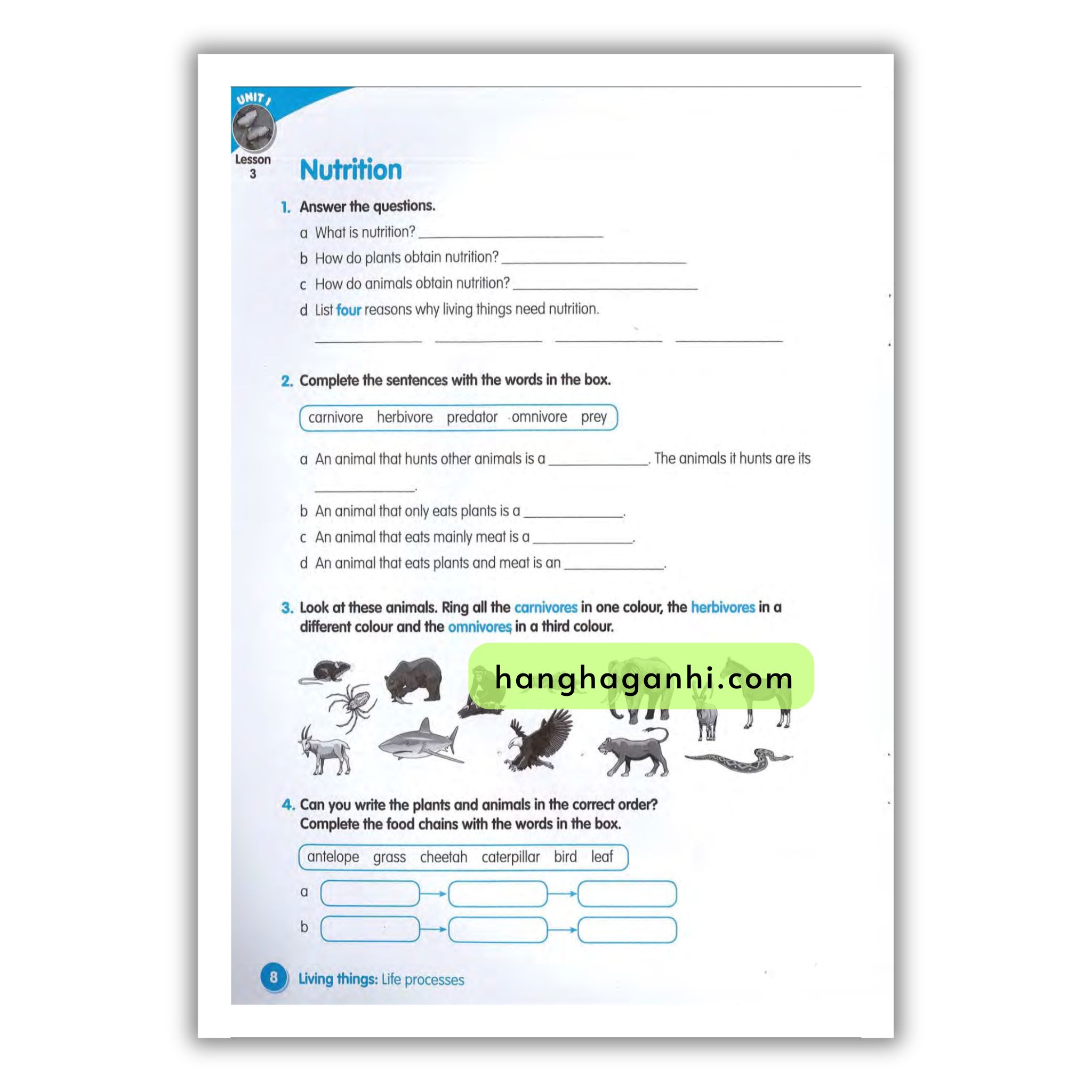 Macmillan Science 4 Workbook_thumbnail_17