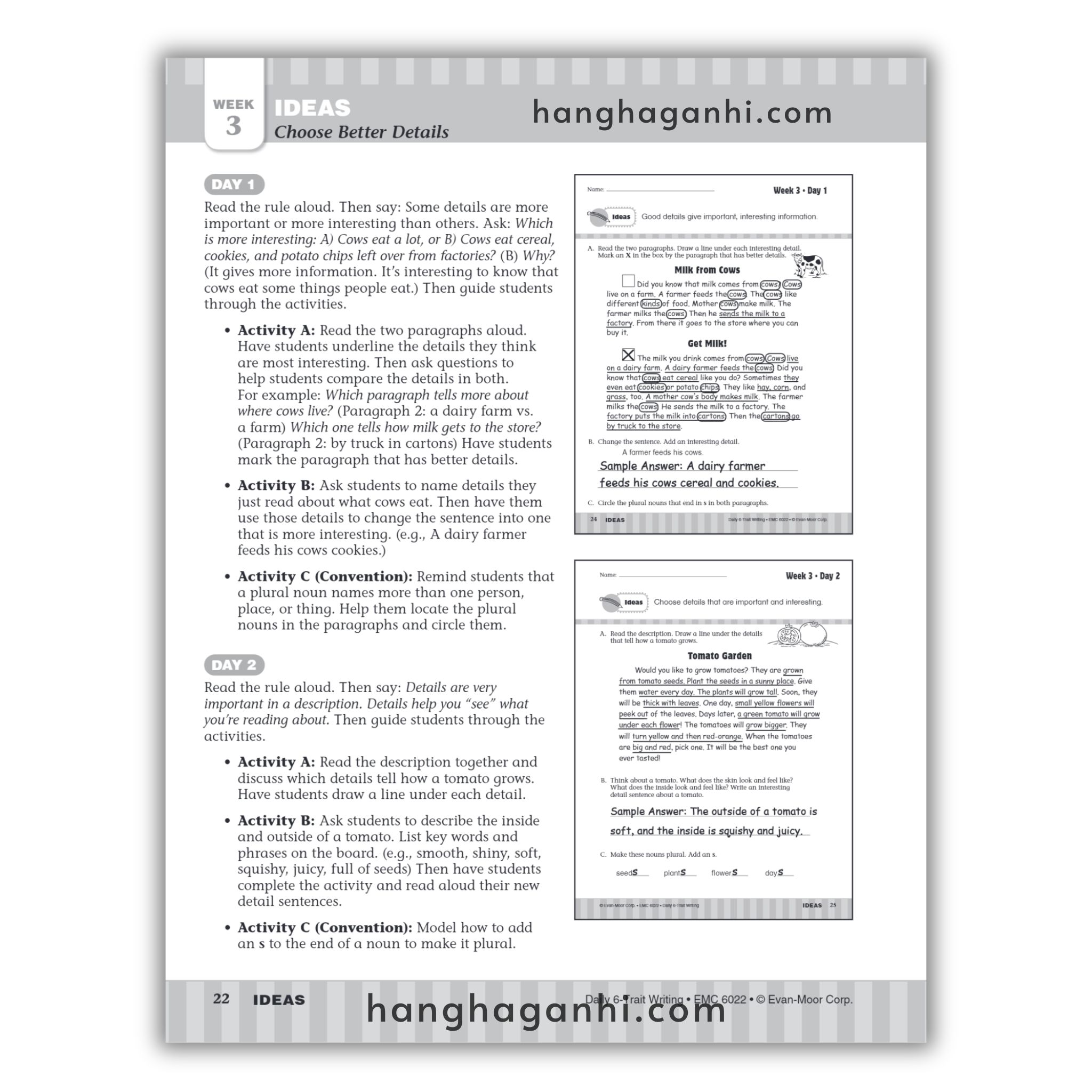 Bộ sách Daily Trait Writing – 8 cuốn_thumbnail_15