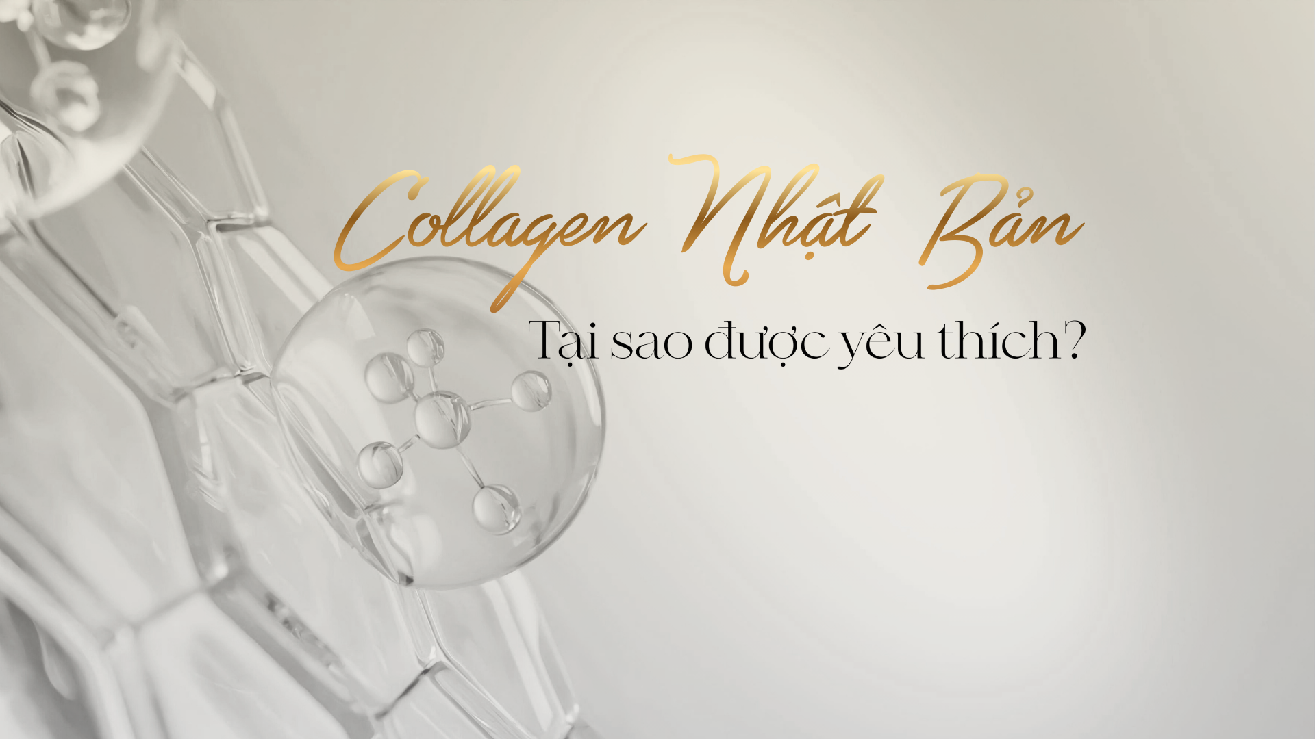 Tại sao collagen Nhật Bản được ưa chuộng nhất hiện nay?