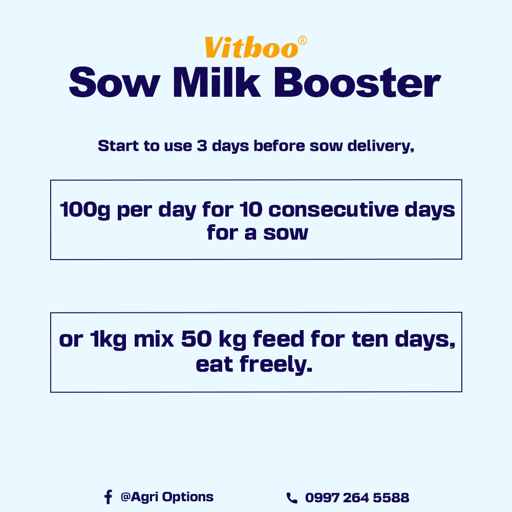 Vitboo Sow Milk Booster_thumbnail_3